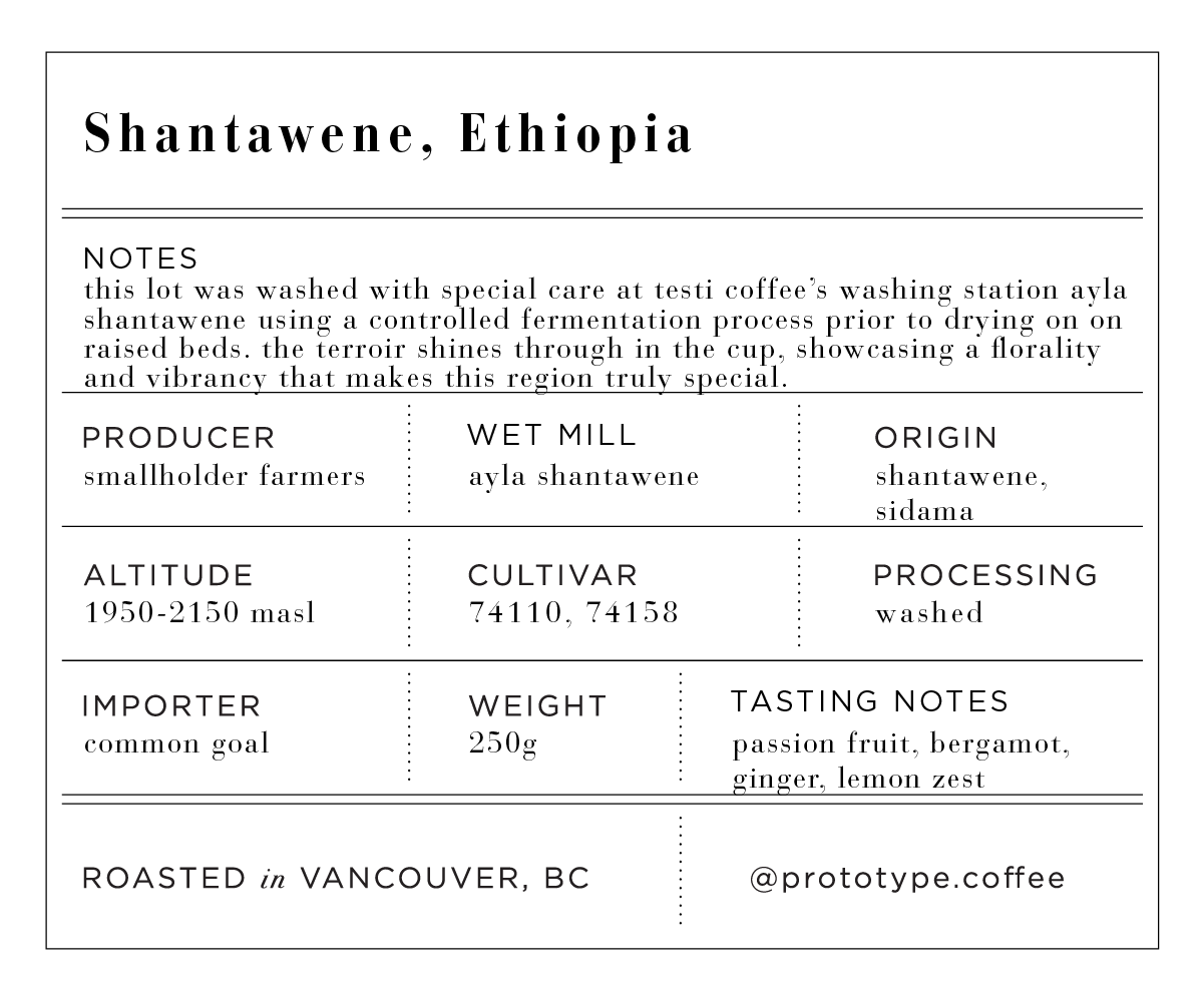 EW Ethiopia Shantawene Washed-01.png