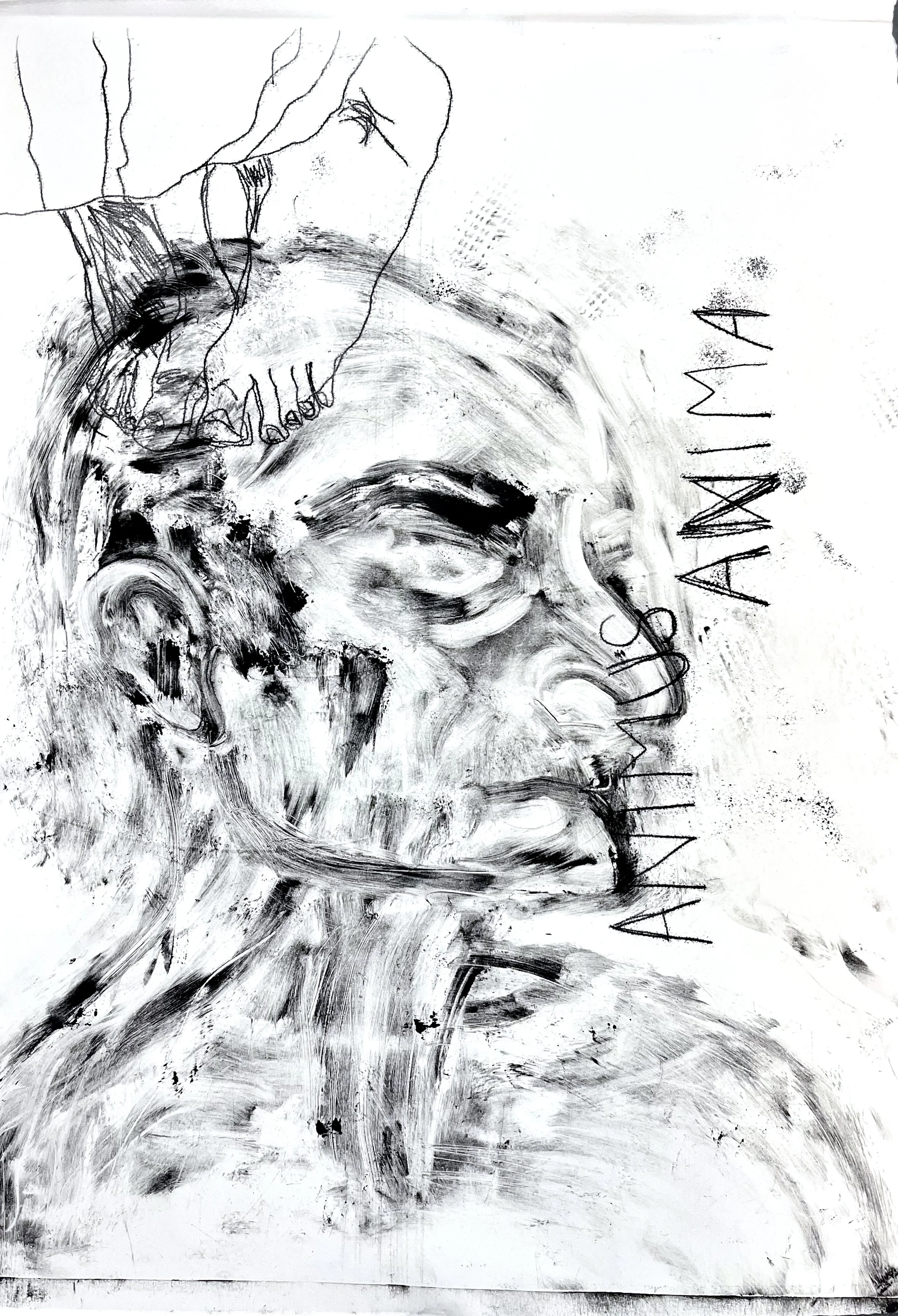 Trace monoprint on paper 22 x 15 inches