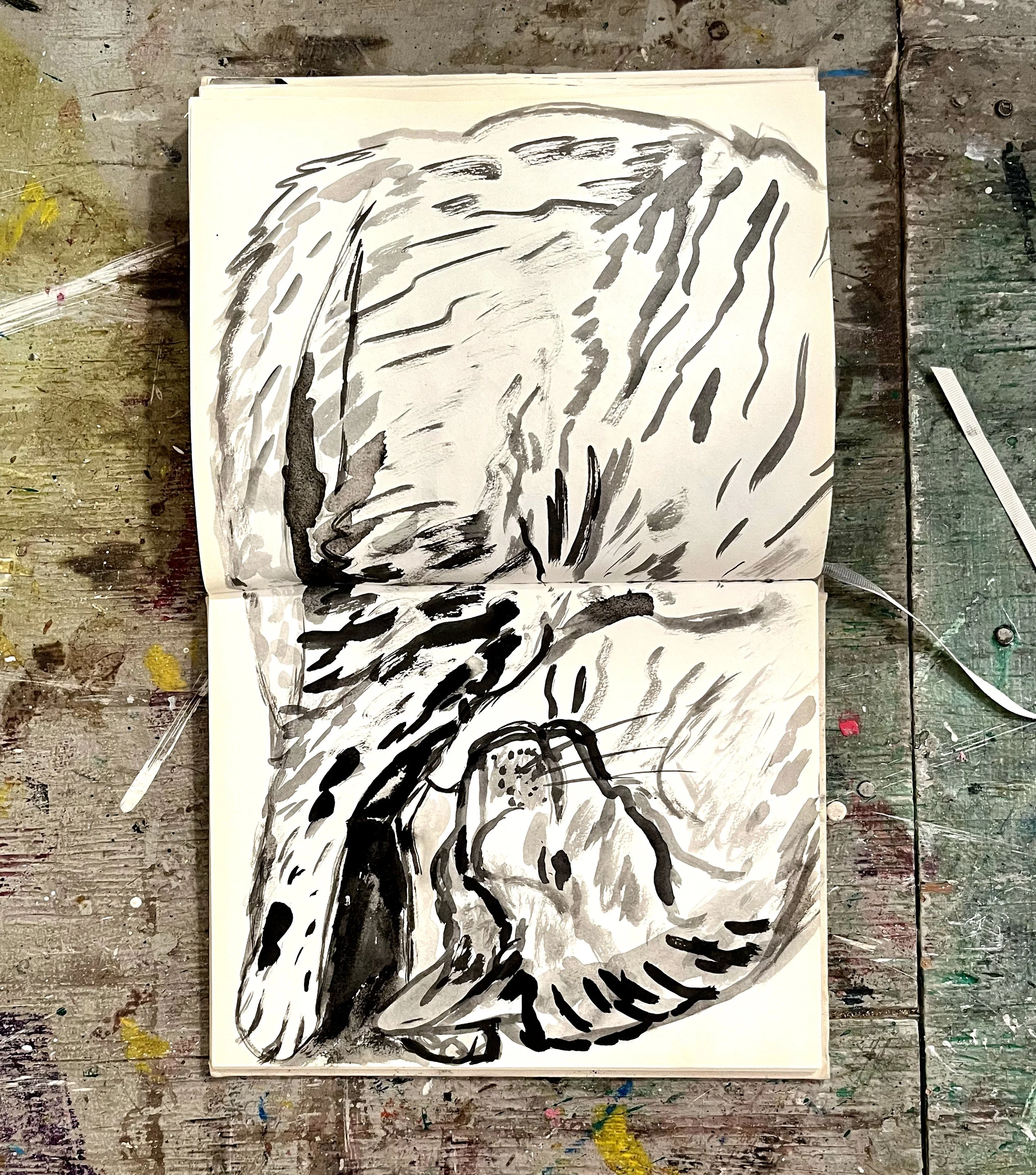 cat_ink_drawing_04.jpg