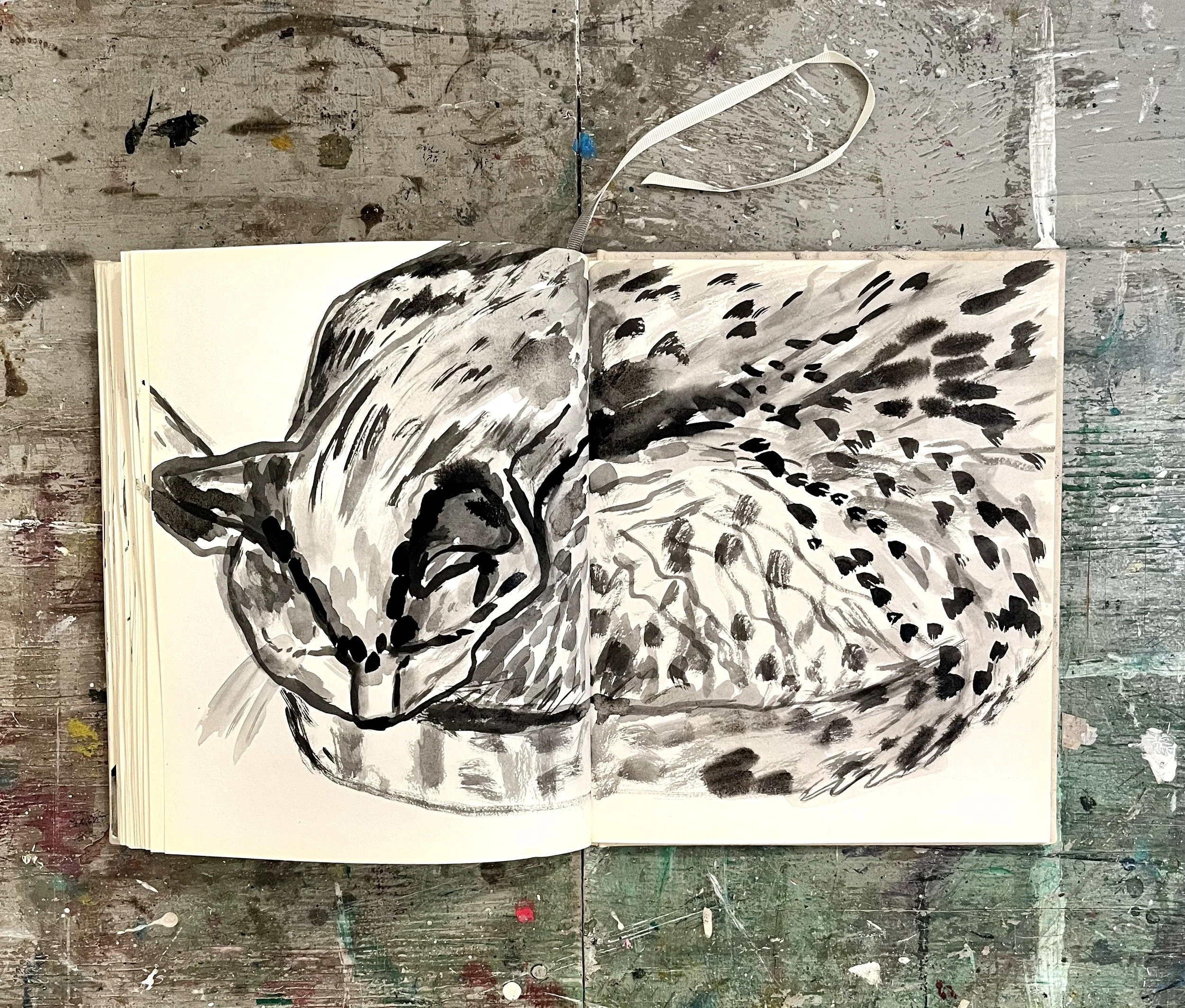 cat_ink_drawing_02.jpg