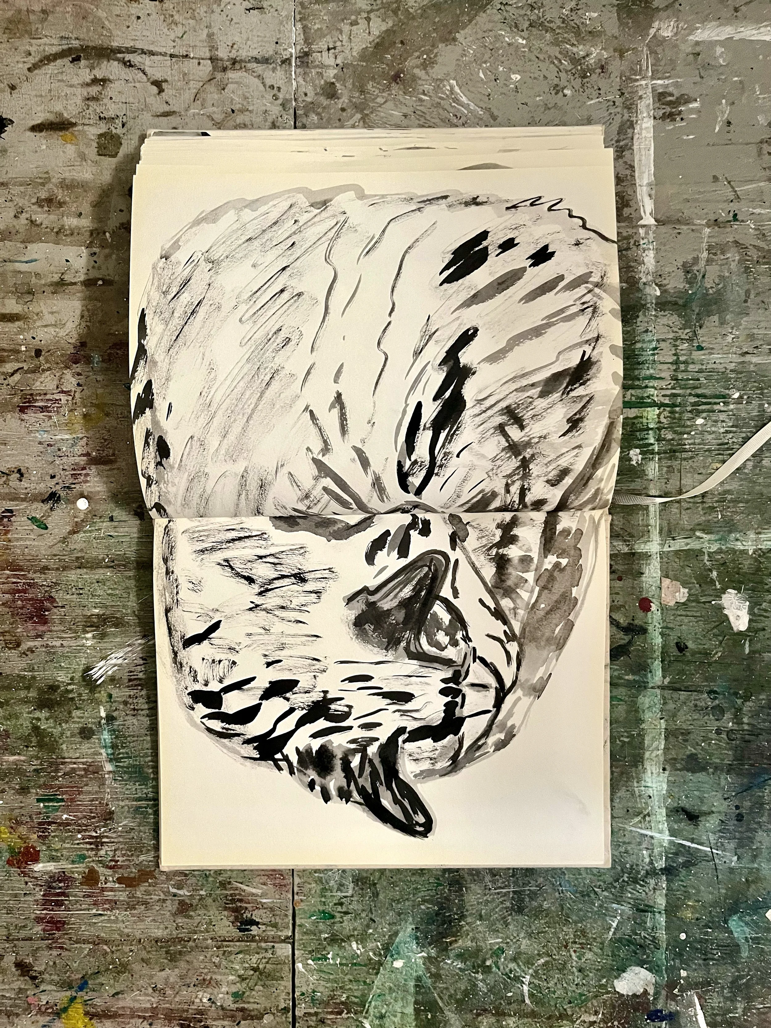 cat_ink_drawing_01.jpg