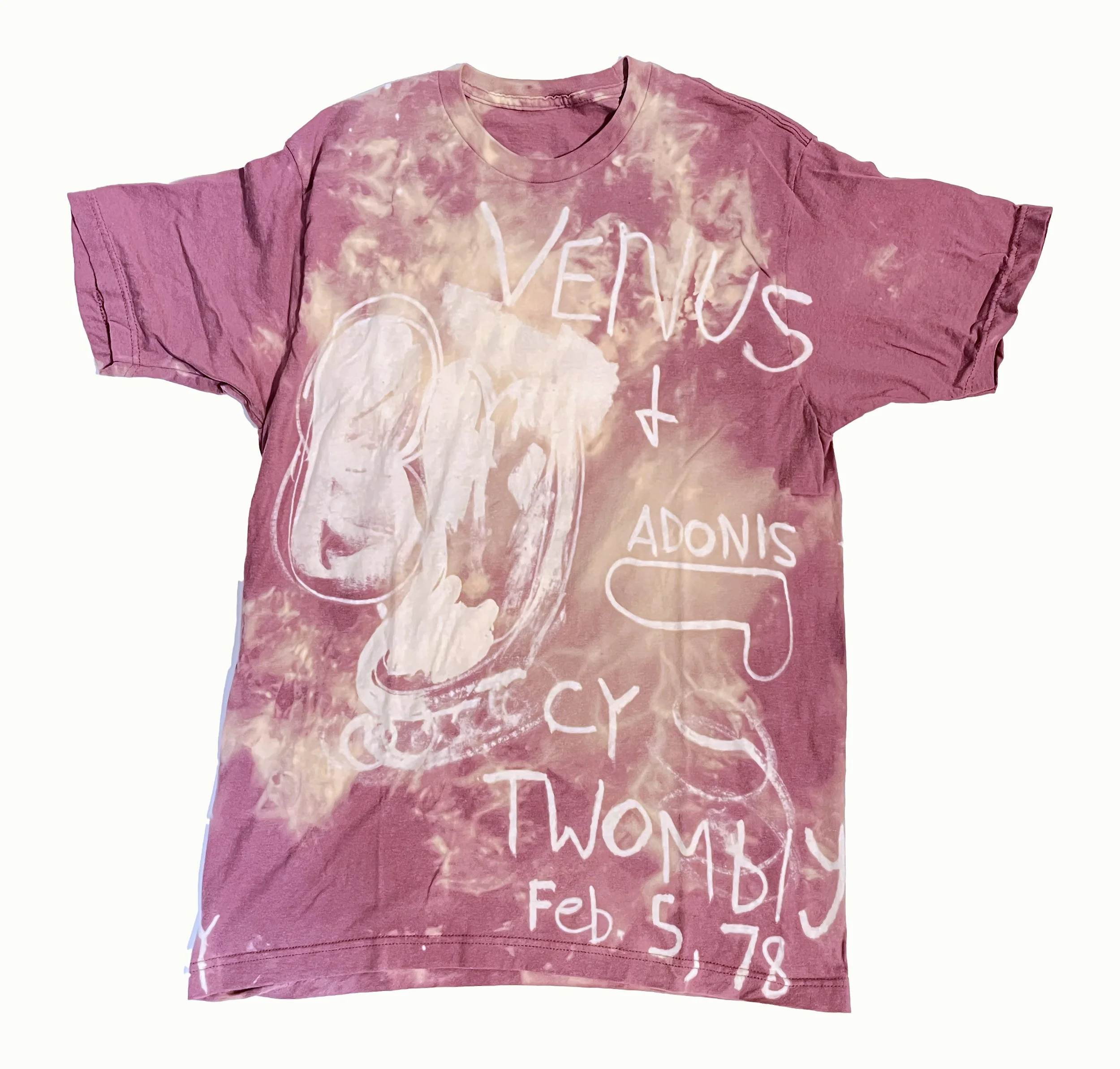 Twombly_Venus_front.jpg