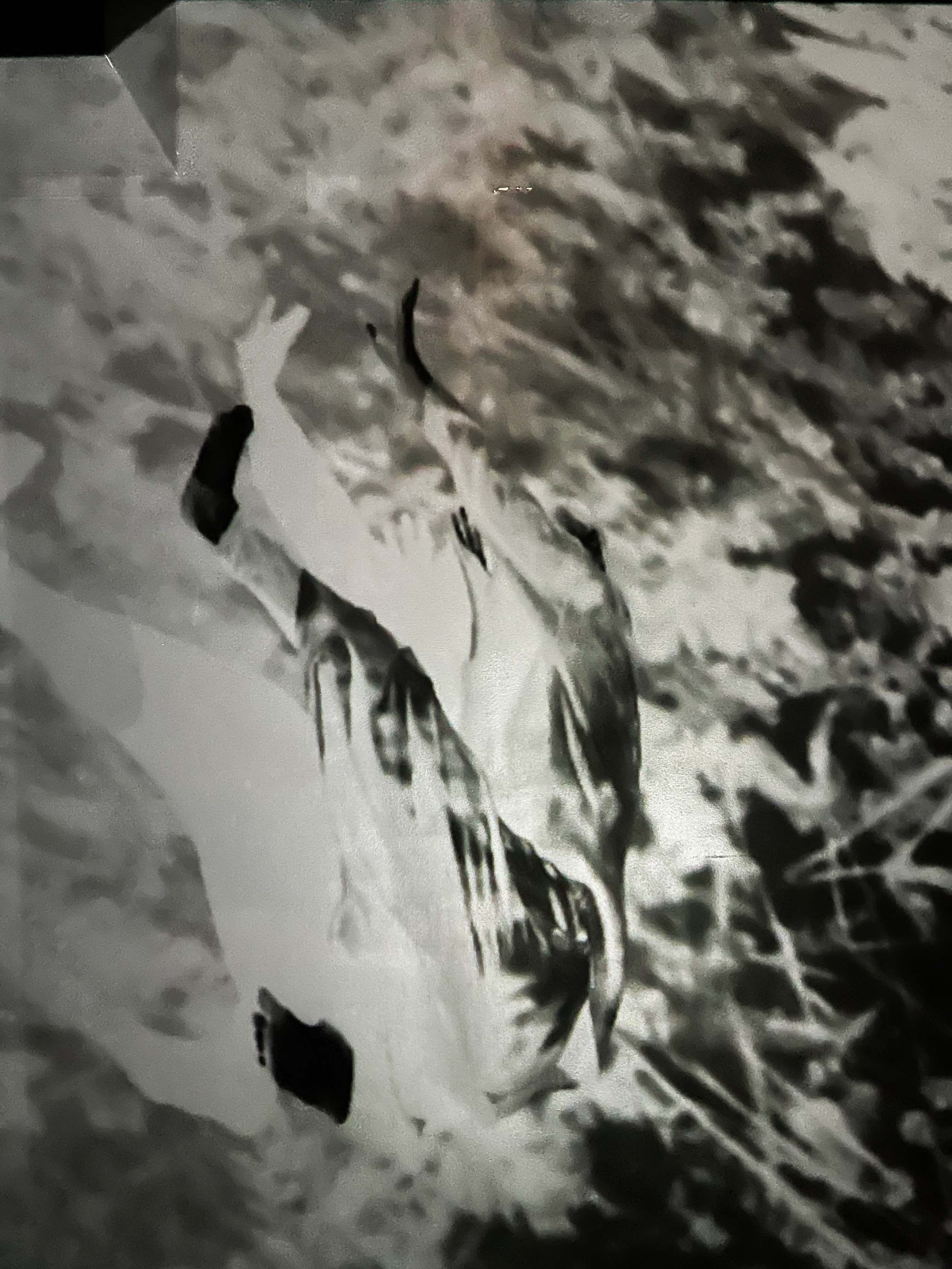 Falling Back Negative.png