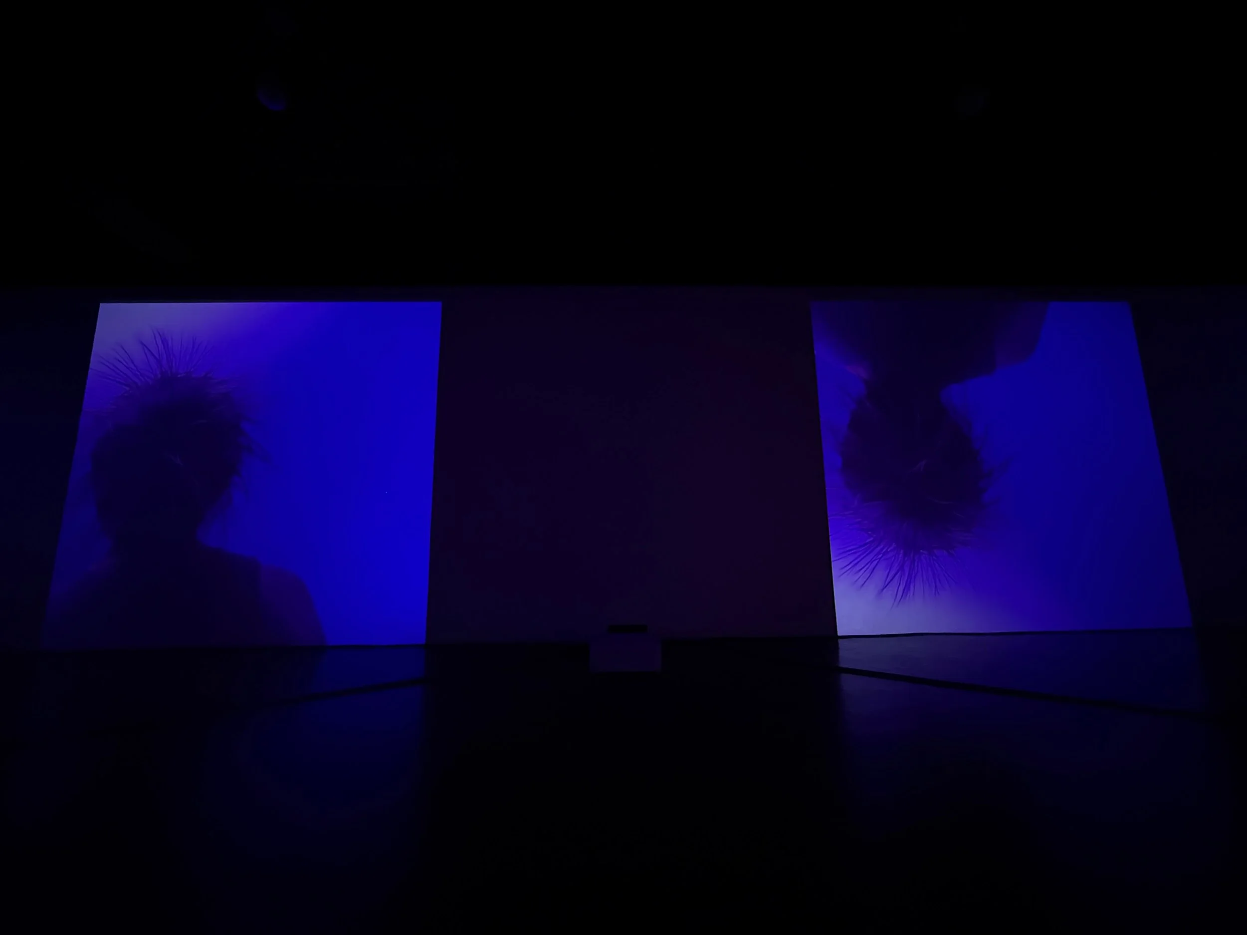 Grieflines_Archival_14 - 1.jpeg