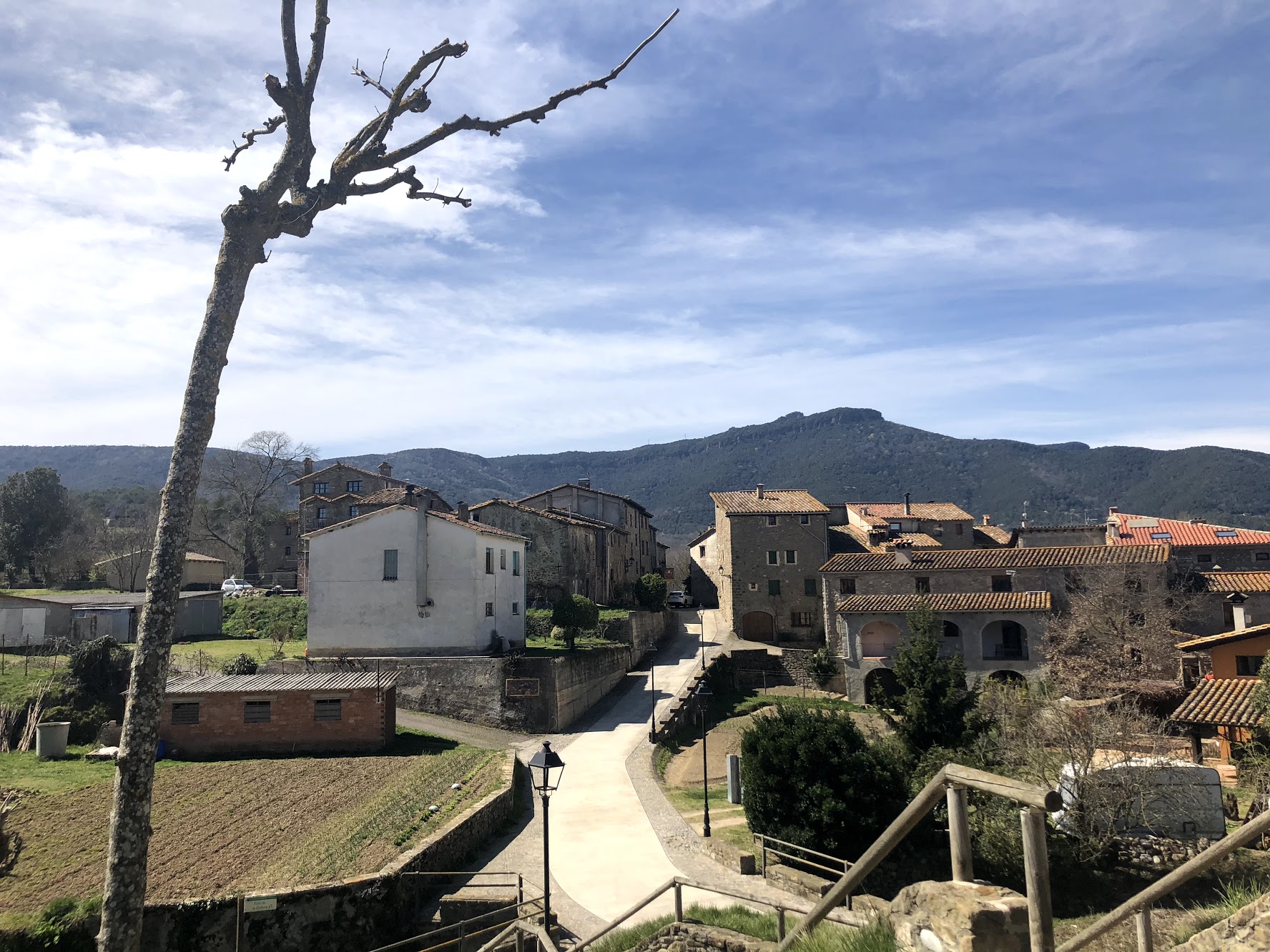 mieres o.jpg