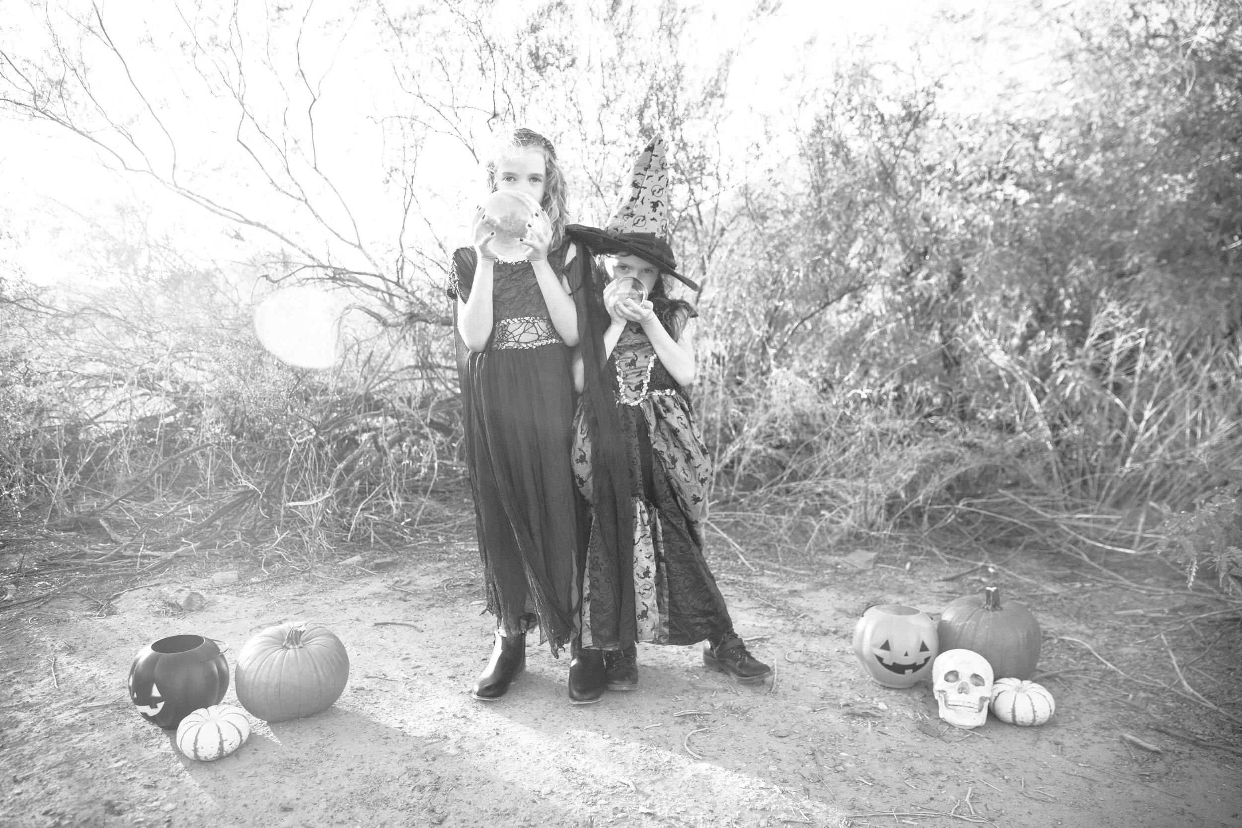 Spooky Sesh 2019-9300.jpg