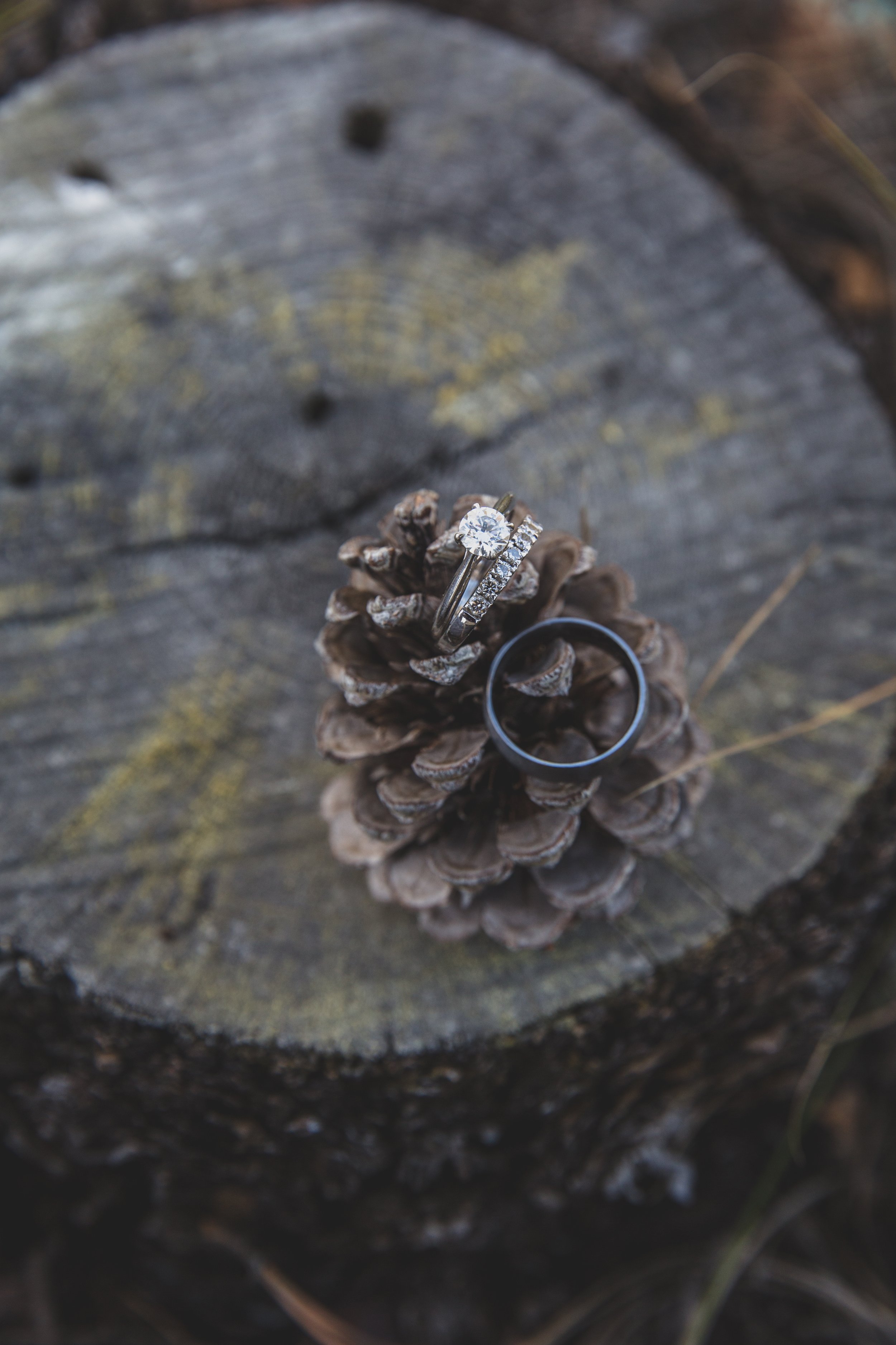  Wedding Rings at Northern Arizona Rim Elopement by Arizona Destination Photographer Jennifer Lind Schutsky 