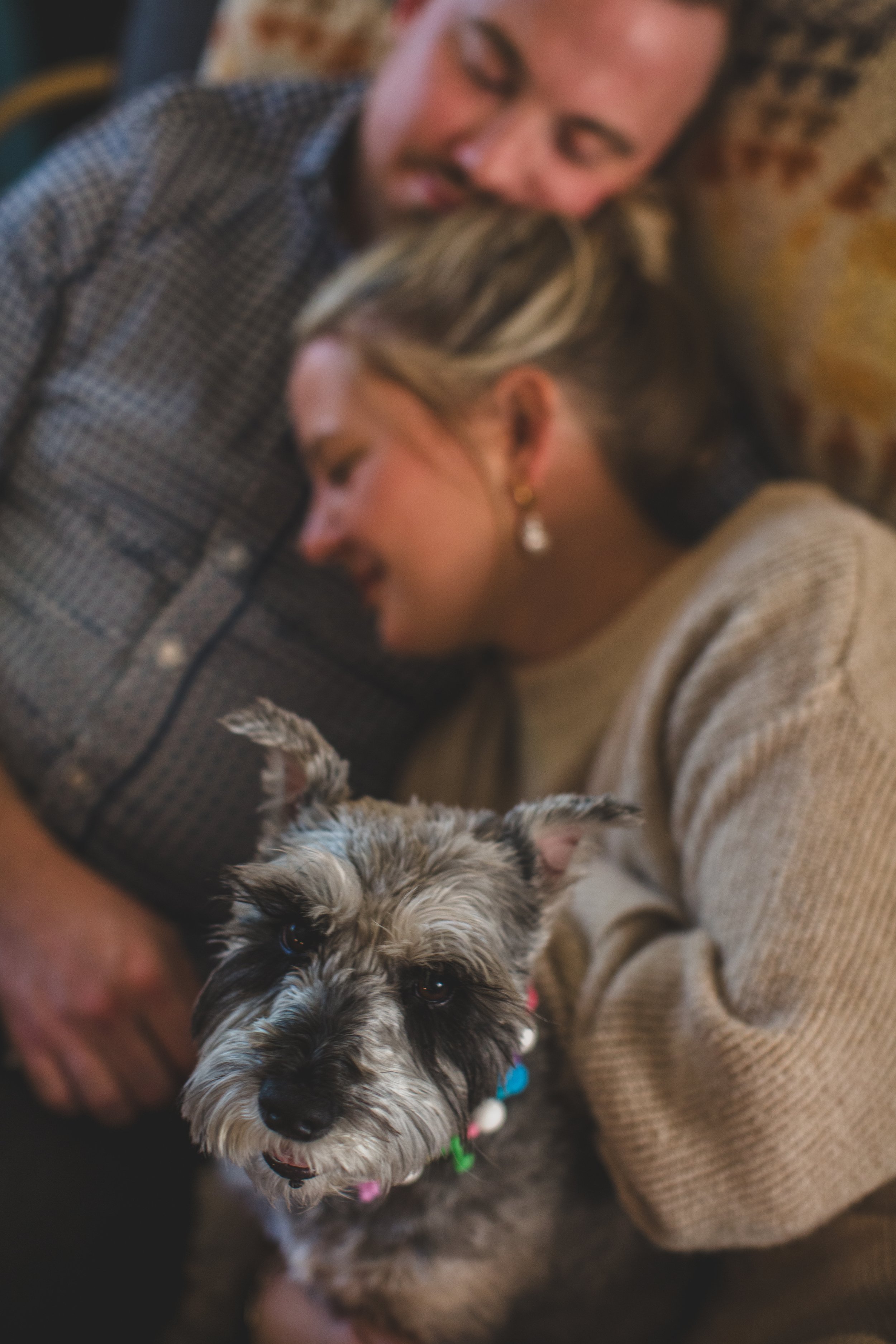 Couple sits cuddling on the couch with their dog during their in-home engagement photo session with Phoenix based creative wedding photographer; Jennifer Lind Schutsky. 