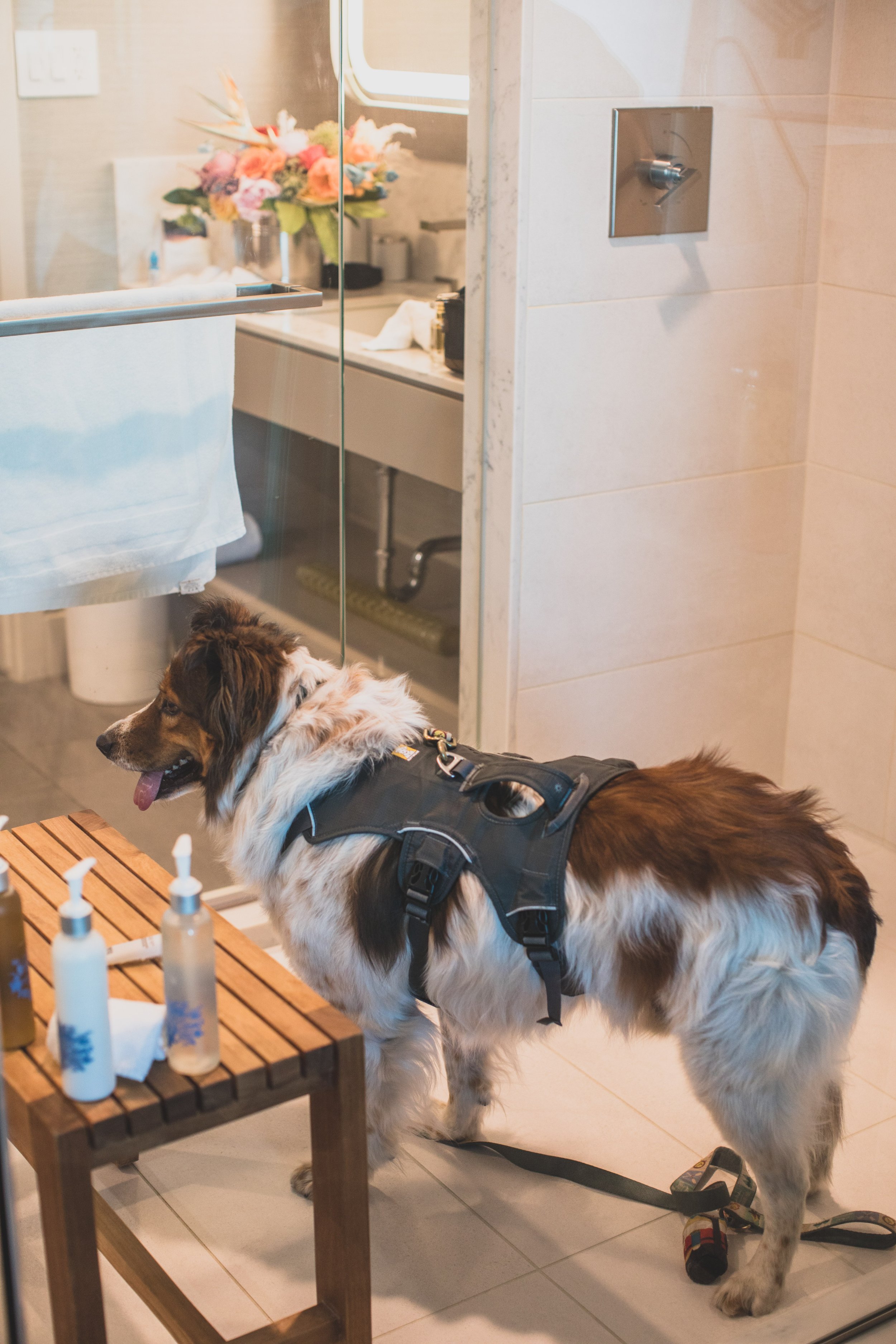 Alex and Lena June EDITED 2022-4858.jpg