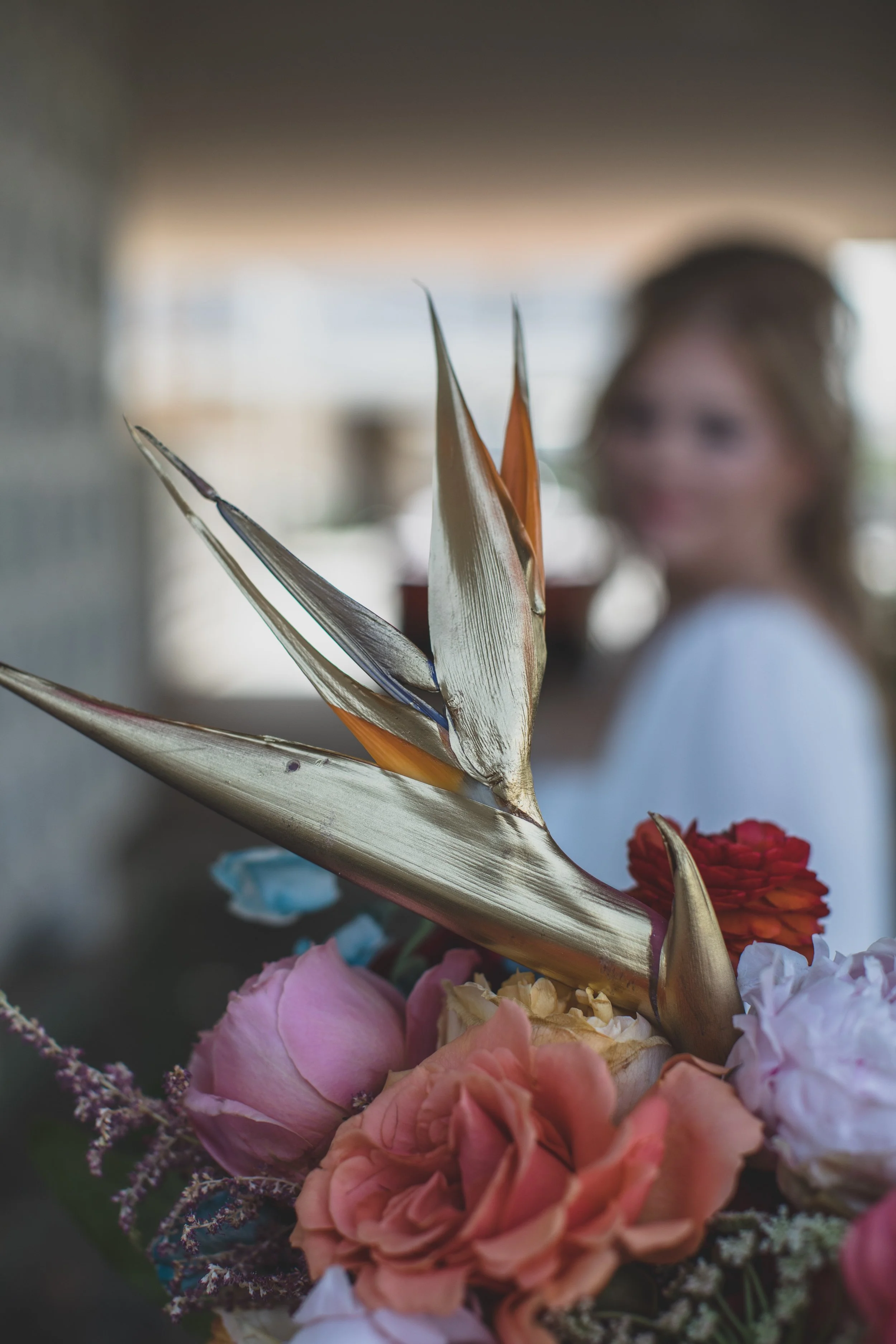 Alex and Lena June EDITED 2022-4904.jpg