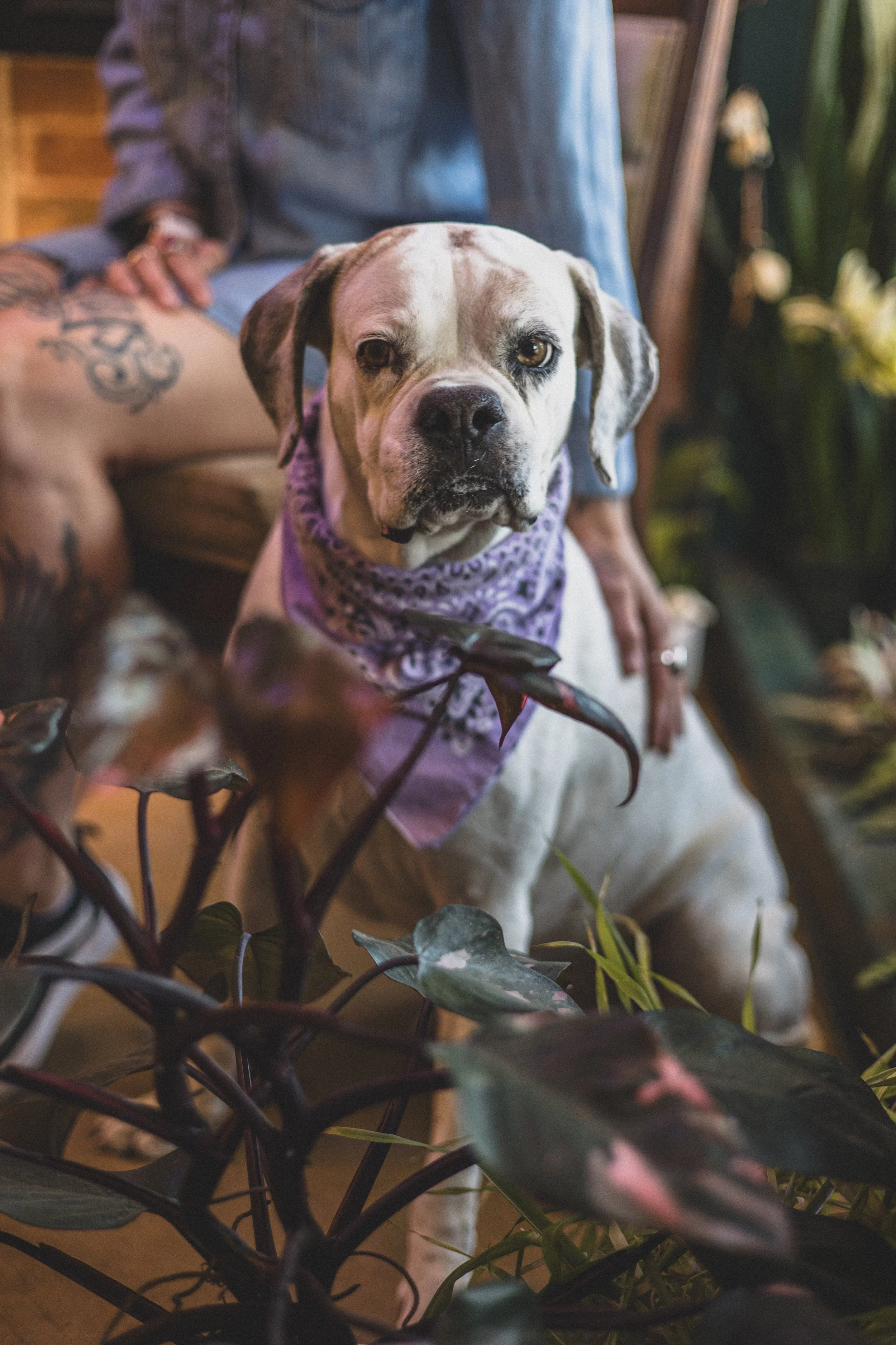 Meesh + Frida Mommy and Me at The Plant Mill Ave, Arizona May 2025 by Jennifer Lind Schutsky EDITED-2818.jpg