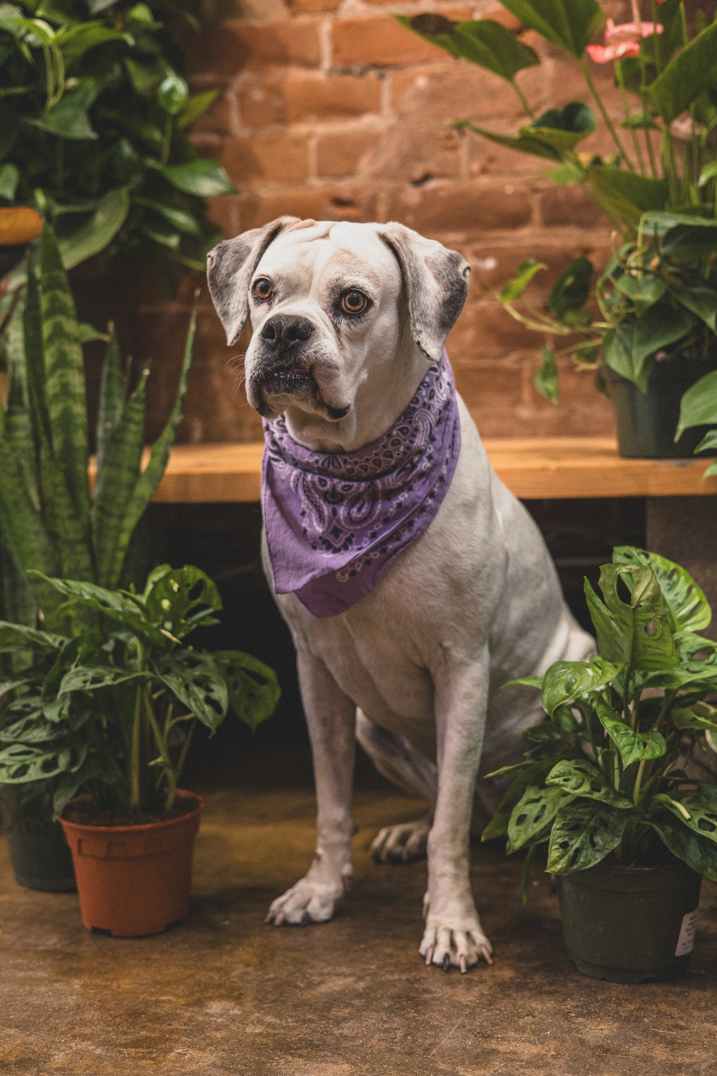 Meesh + Frida Mommy and Me at The Plant Mill Ave, Arizona May 2025 by Jennifer Lind Schutsky EDITED-2839.jpg
