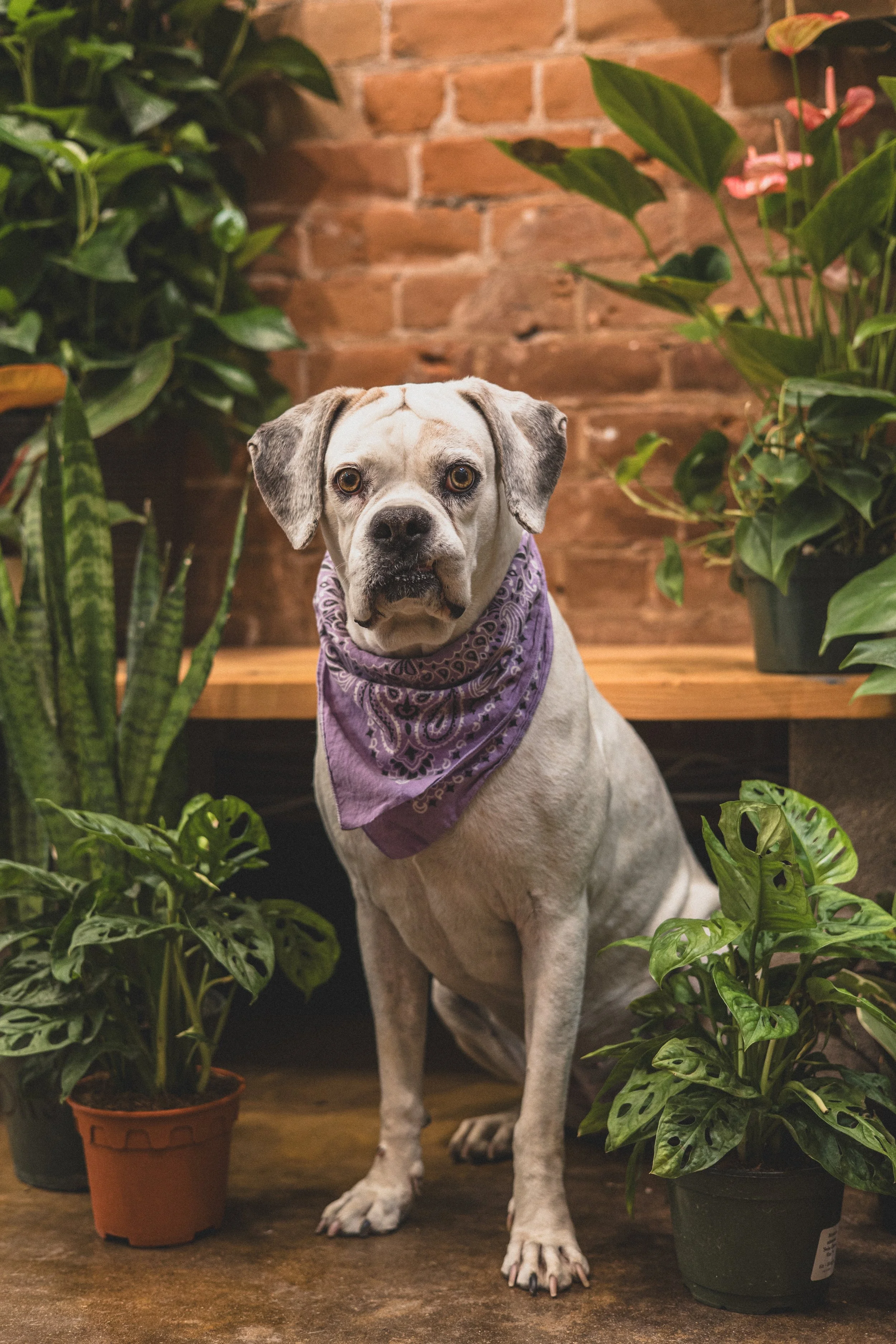Meesh + Frida Mommy and Me at The Plant Mill Ave, Arizona May 2025 by Jennifer Lind Schutsky EDITED-2842.jpg