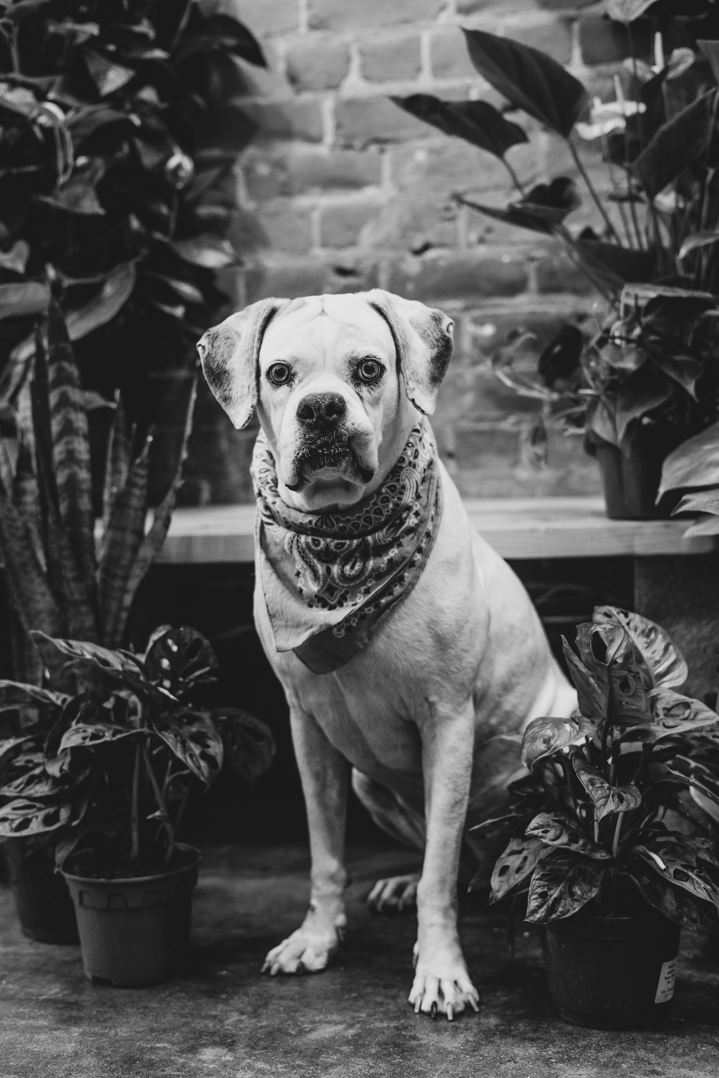 Meesh + Frida Mommy and Me at The Plant Mill Ave, Arizona May 2025 by Jennifer Lind Schutsky EDITED-2843.jpg