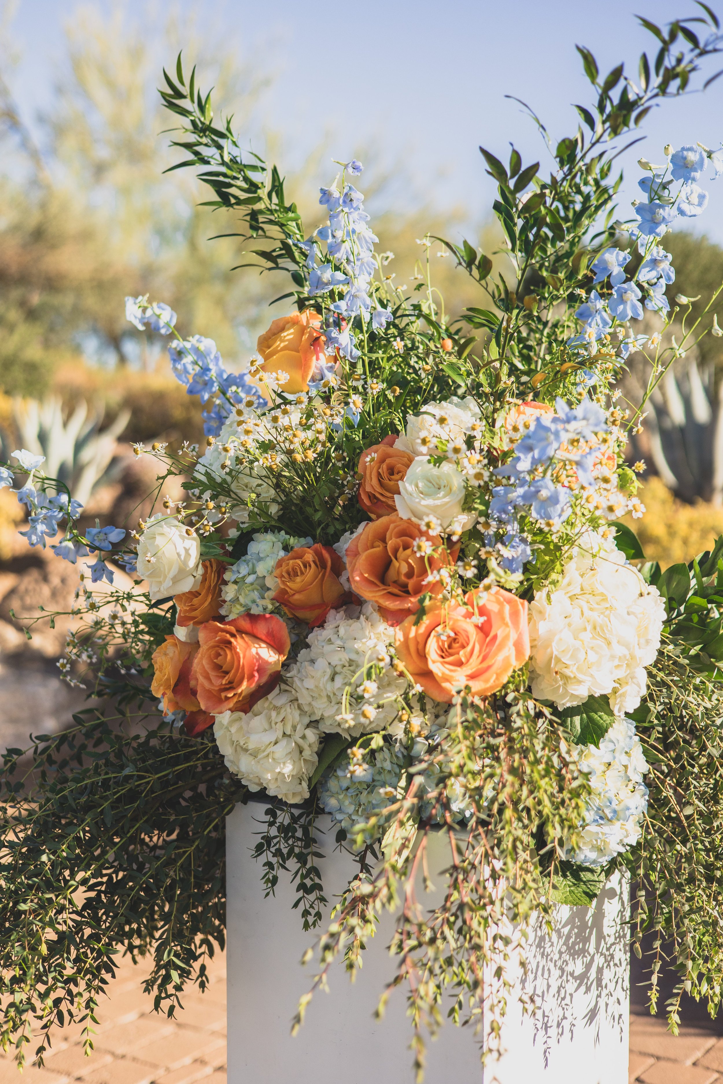 Troon North Wedding; Abby and Ryan in Cave Creek, Arizona by Jennifer Lind Schutsky October 2025 EDITED-0024.jpg