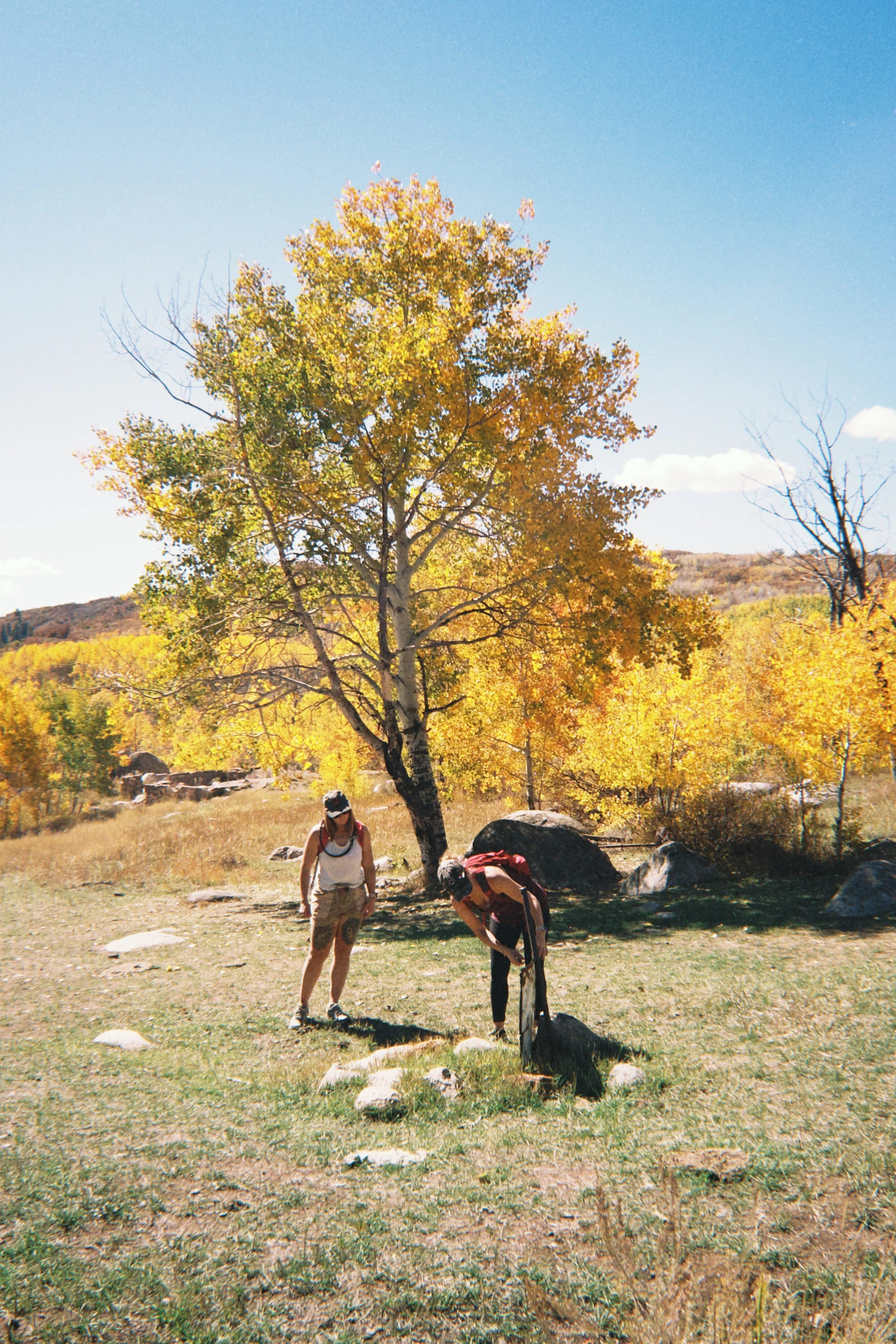 fqs 2025-10-02 131652.591.JPG