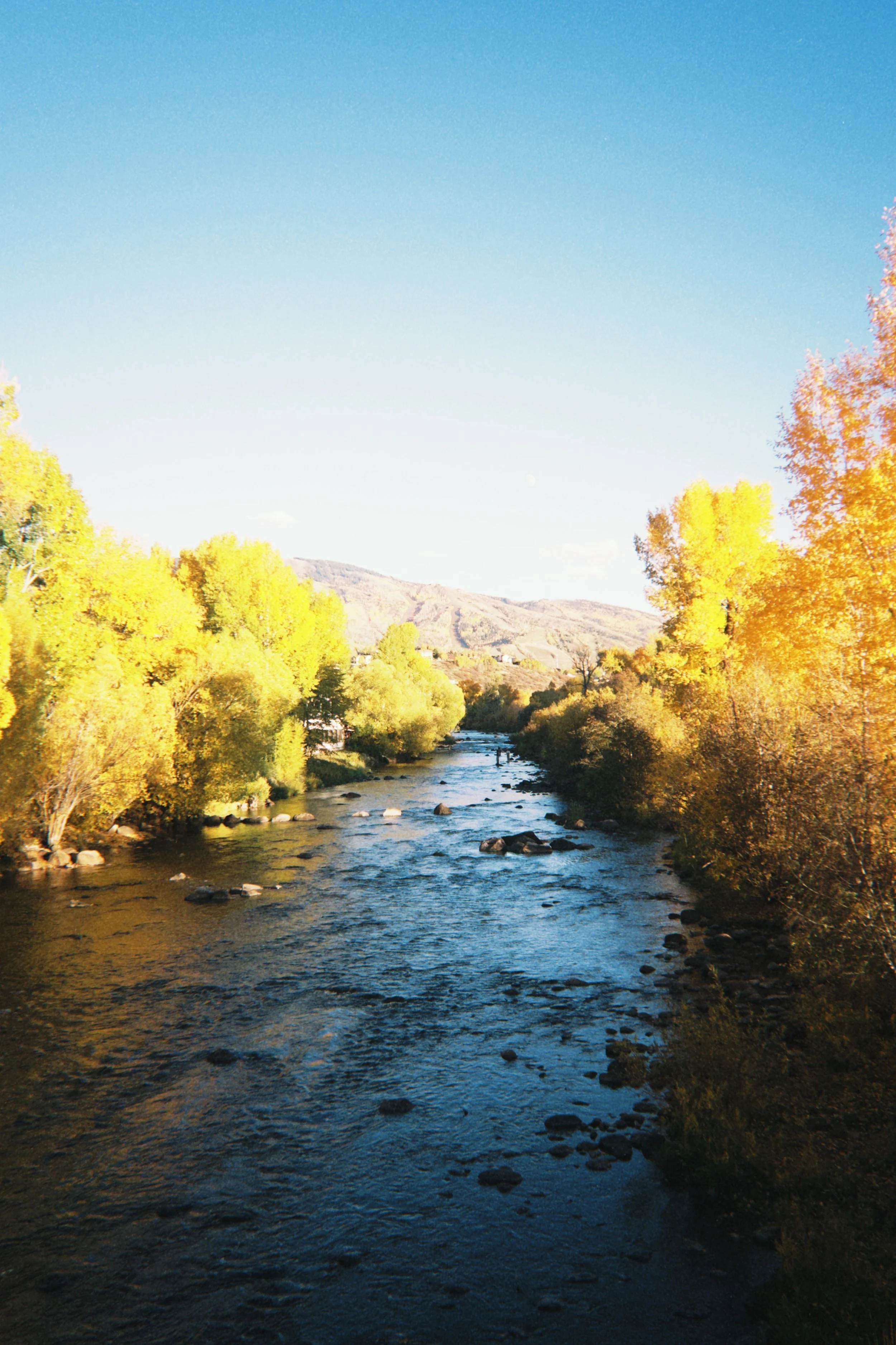 fqs 2025-10-02 175532.942.JPG