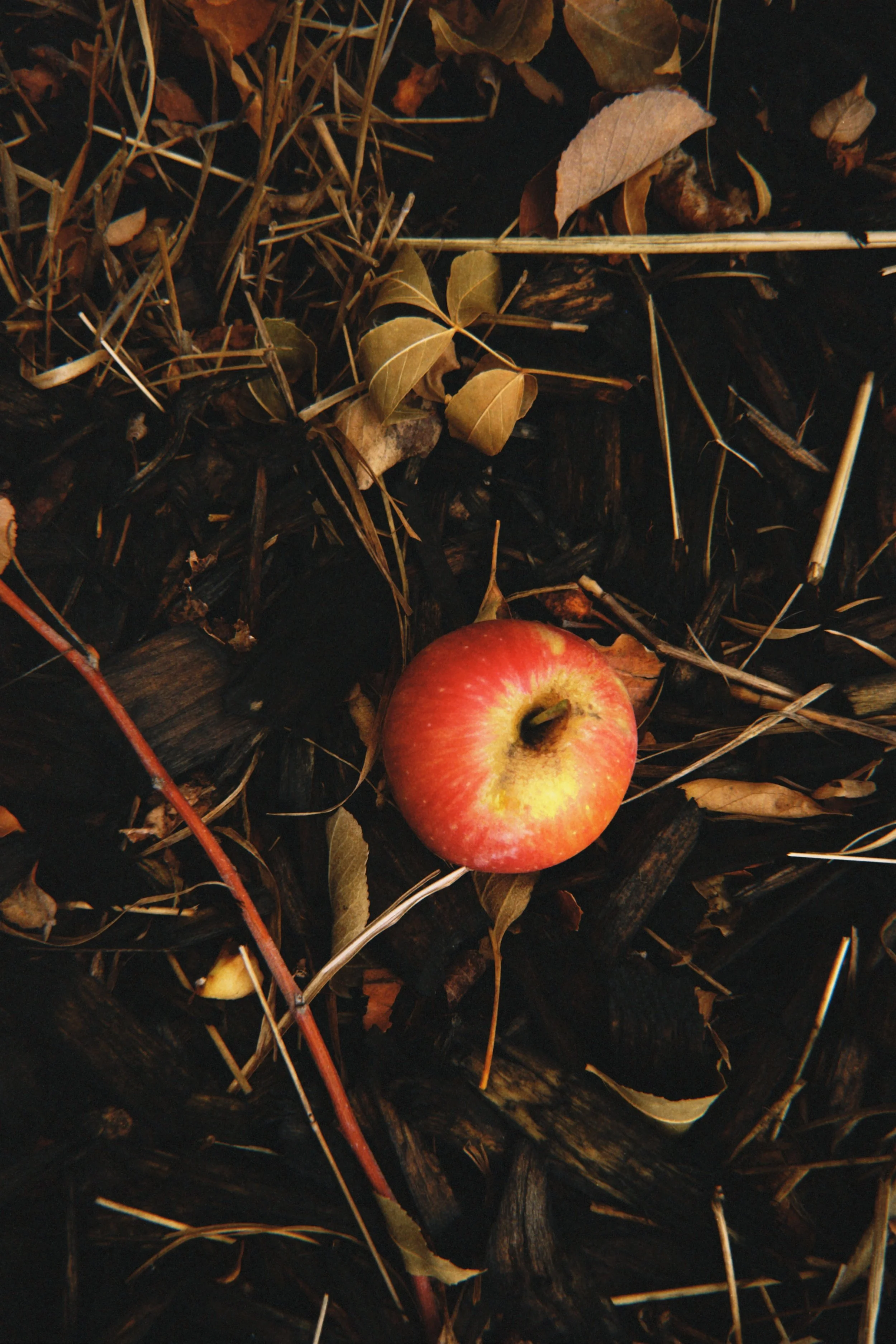 fqs 2025-10-06 094152.555.JPG