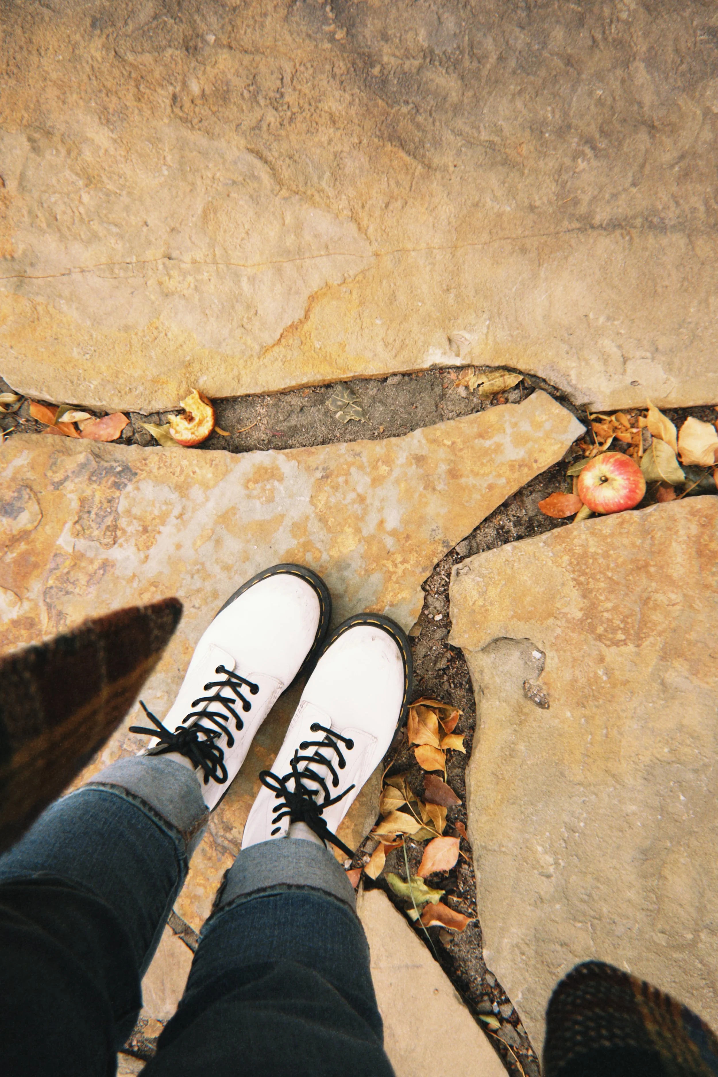 fqs 2025-10-06 094142.672.JPG