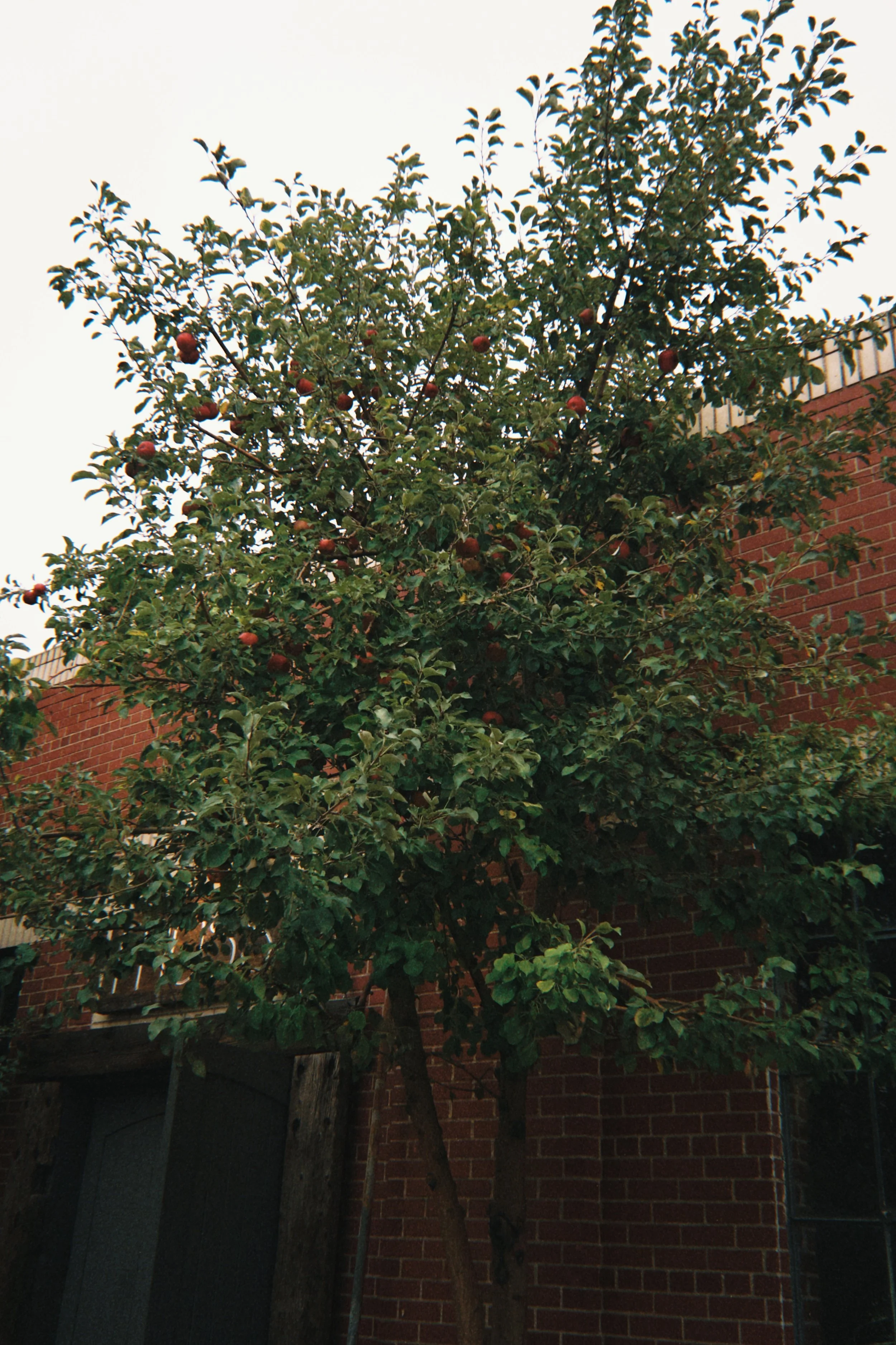 fqs 2025-10-06 094134.444.JPG