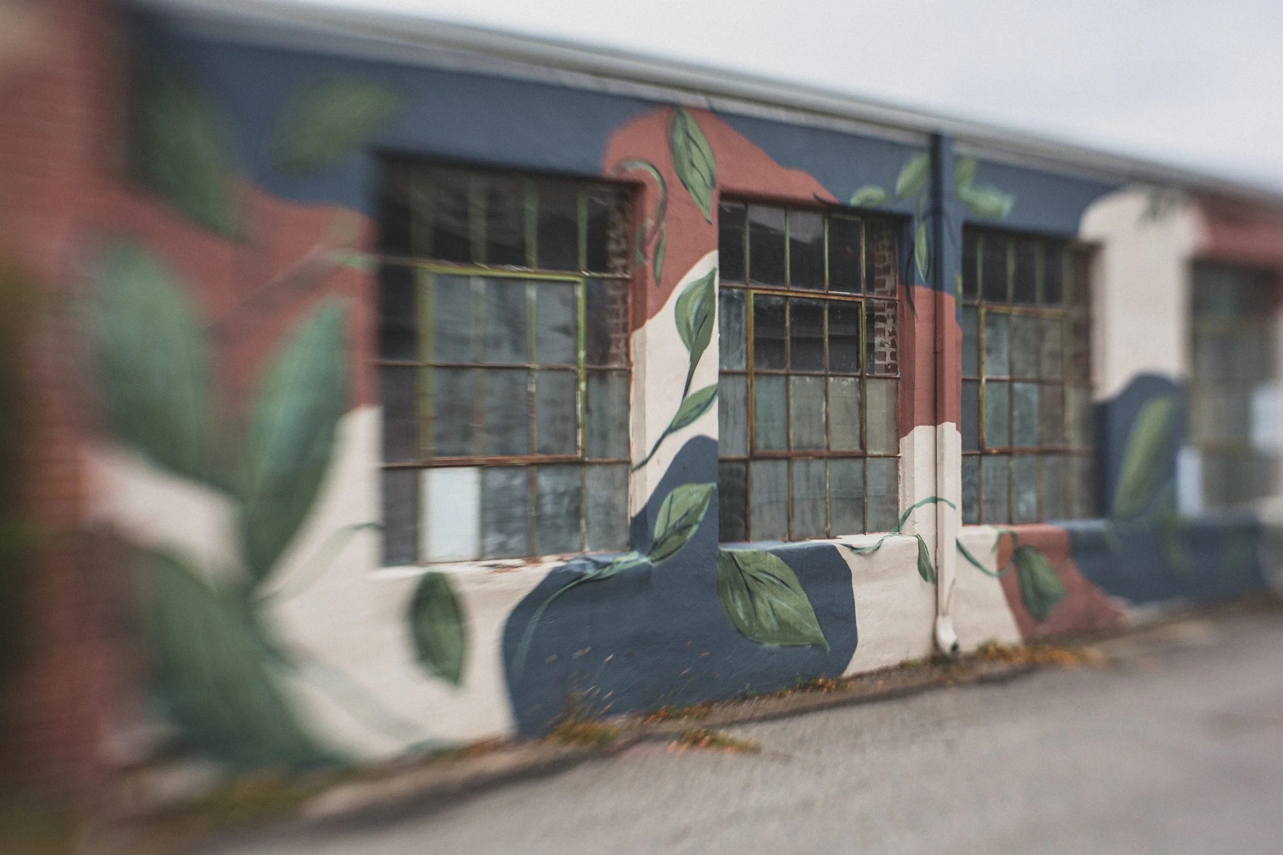 Colorado by Jennifer Lind Schutsky October 2025 EDITED-8991.JPG