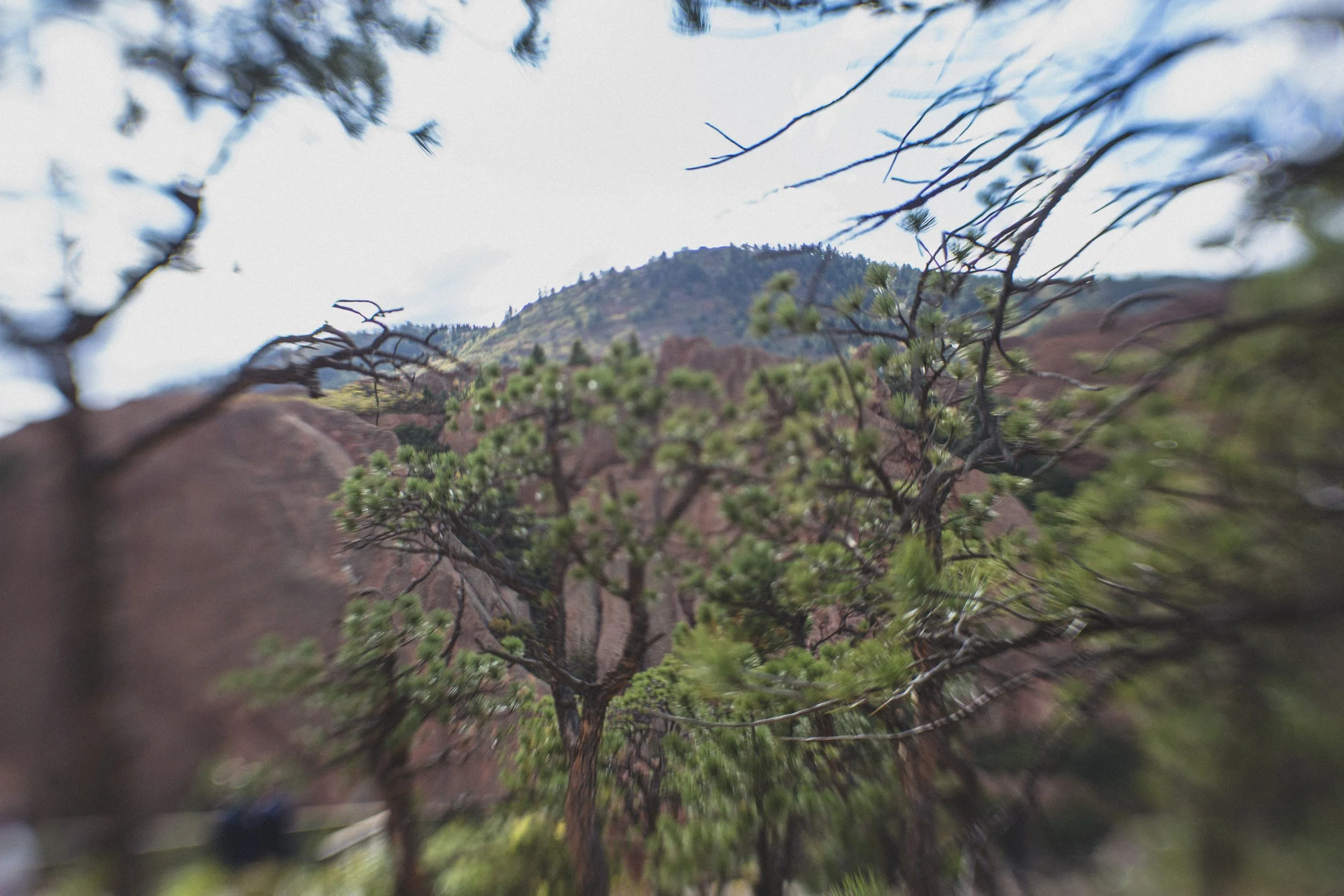 Colorado by Jennifer Lind Schutsky October 2025 EDITED-8966.JPG