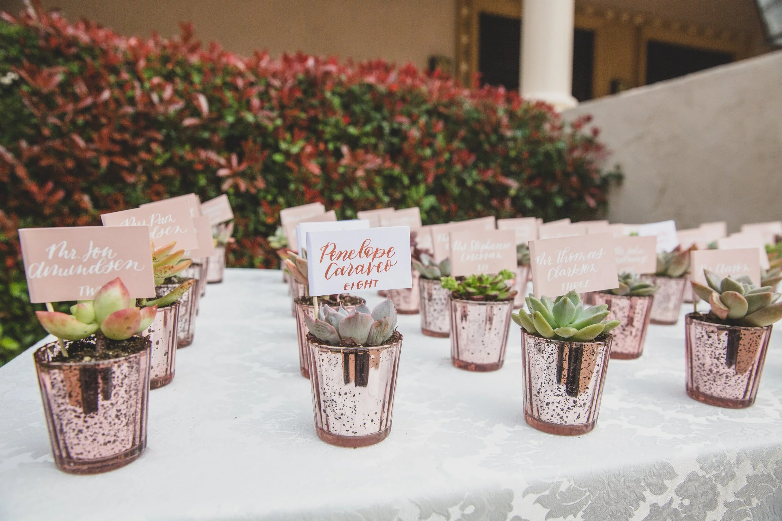 March 15 WEDDING-2310.jpg