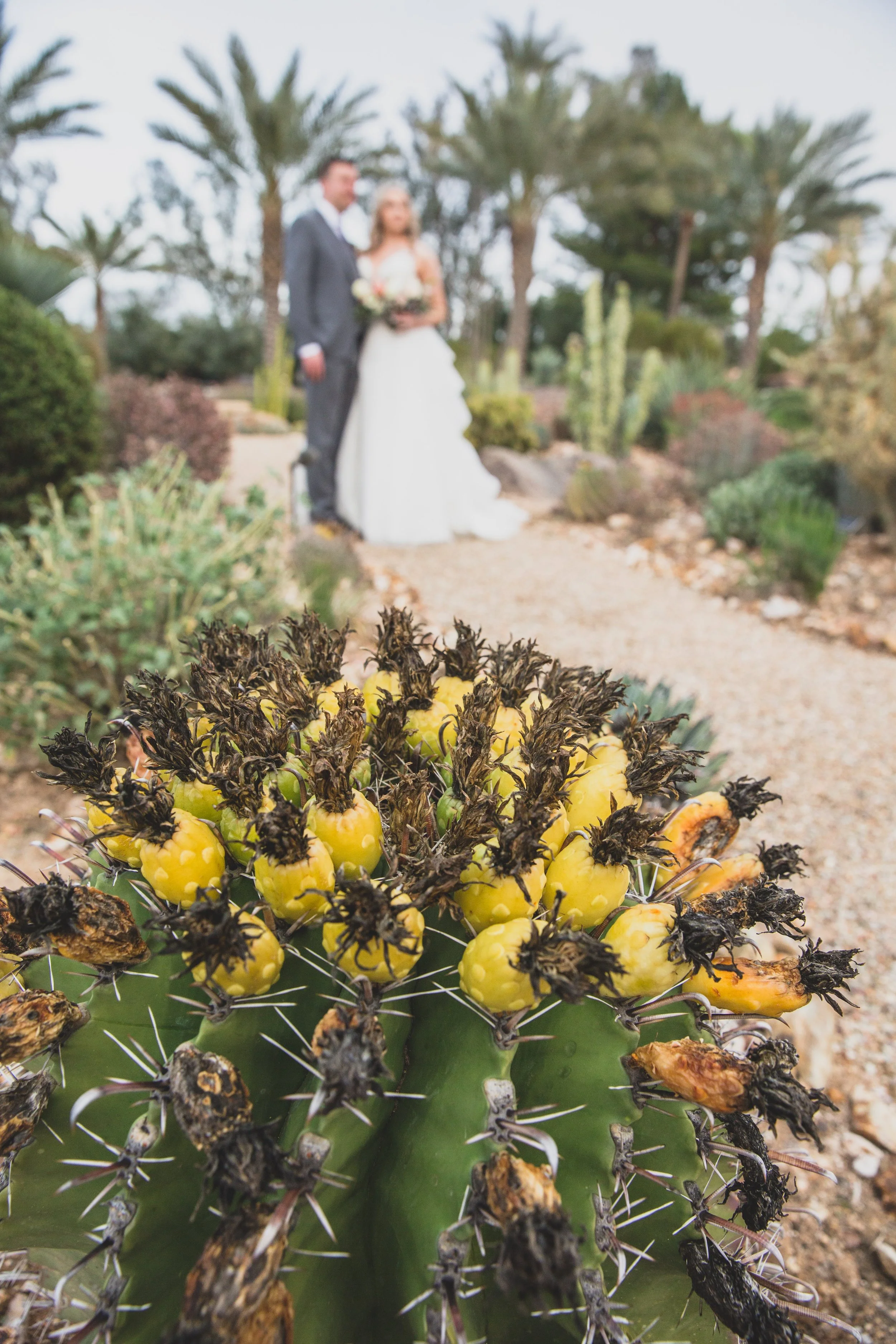 March 15 WEDDING-2621.jpg