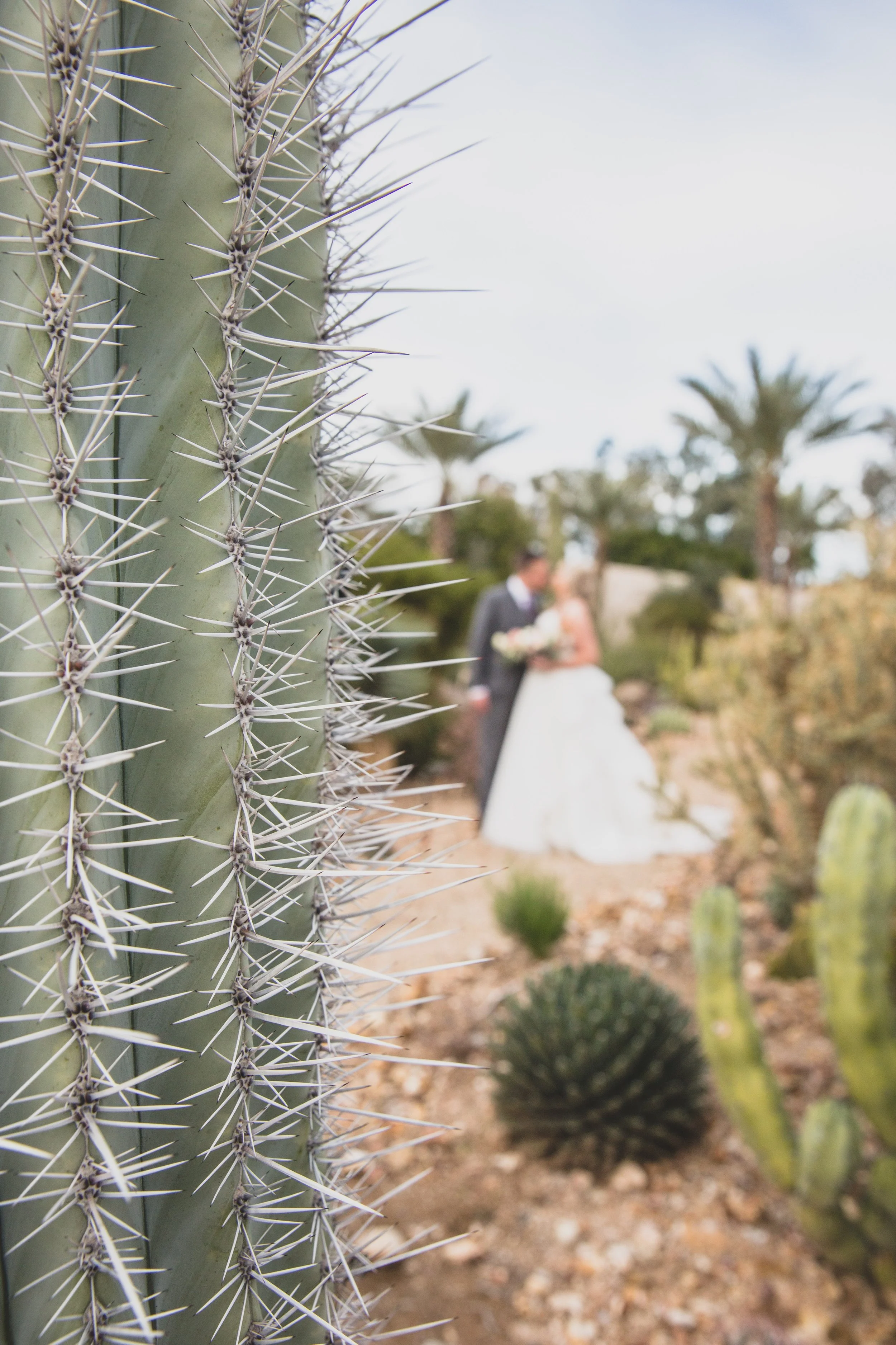 March 15 WEDDING-2625.jpg