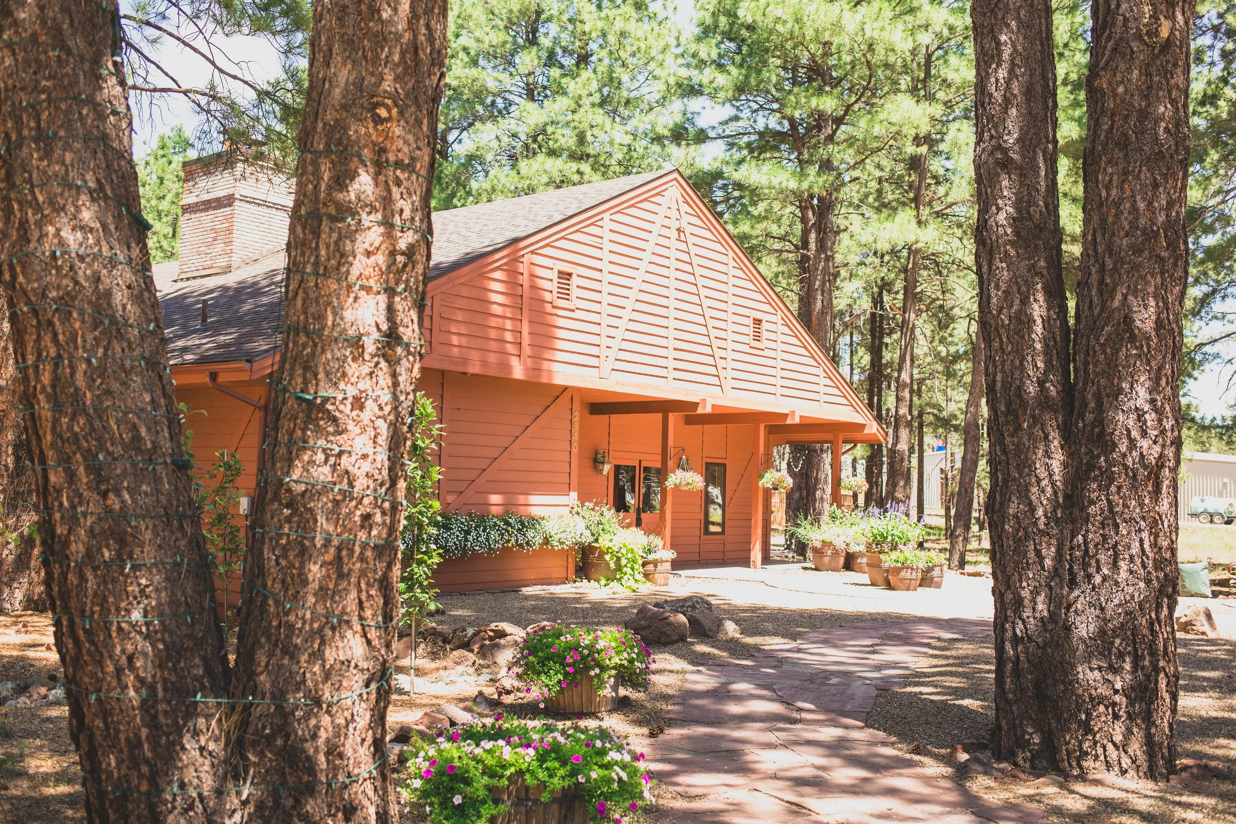 August Sam + Rachel Elopement EDITED 2024-8991.jpg