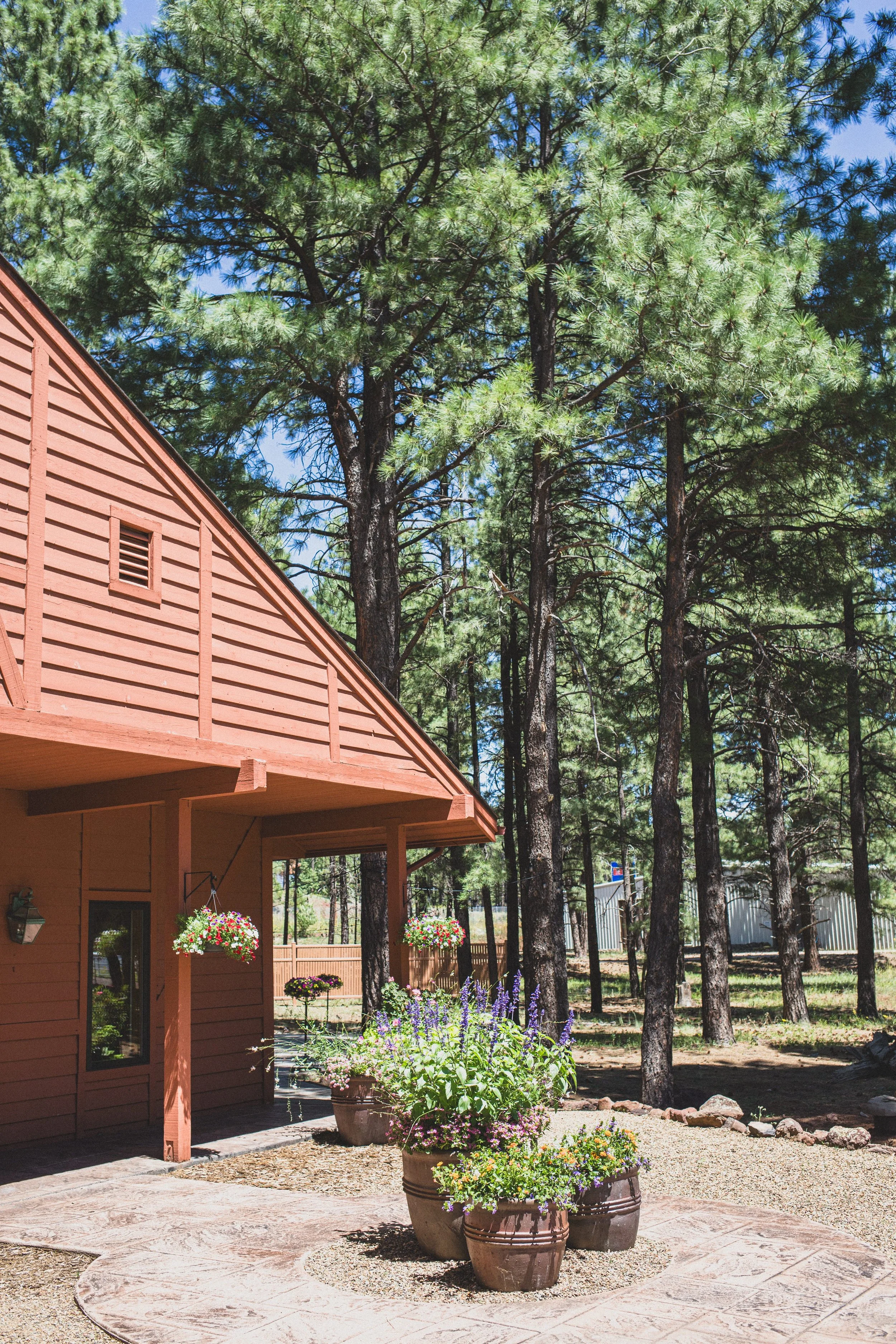 August Sam + Rachel Elopement EDITED 2024-8994.jpg