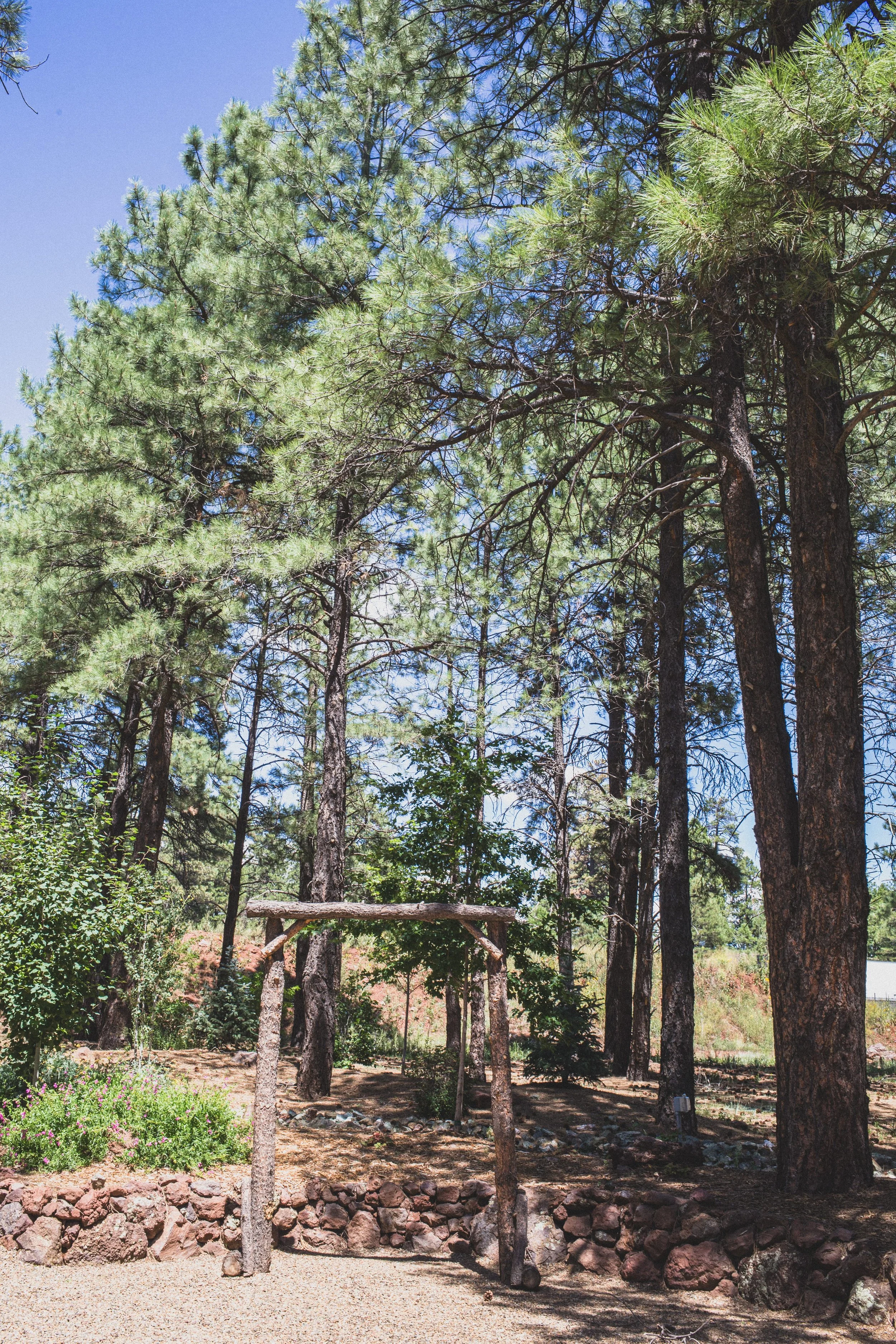 August Sam + Rachel Elopement EDITED 2024-9003.jpg