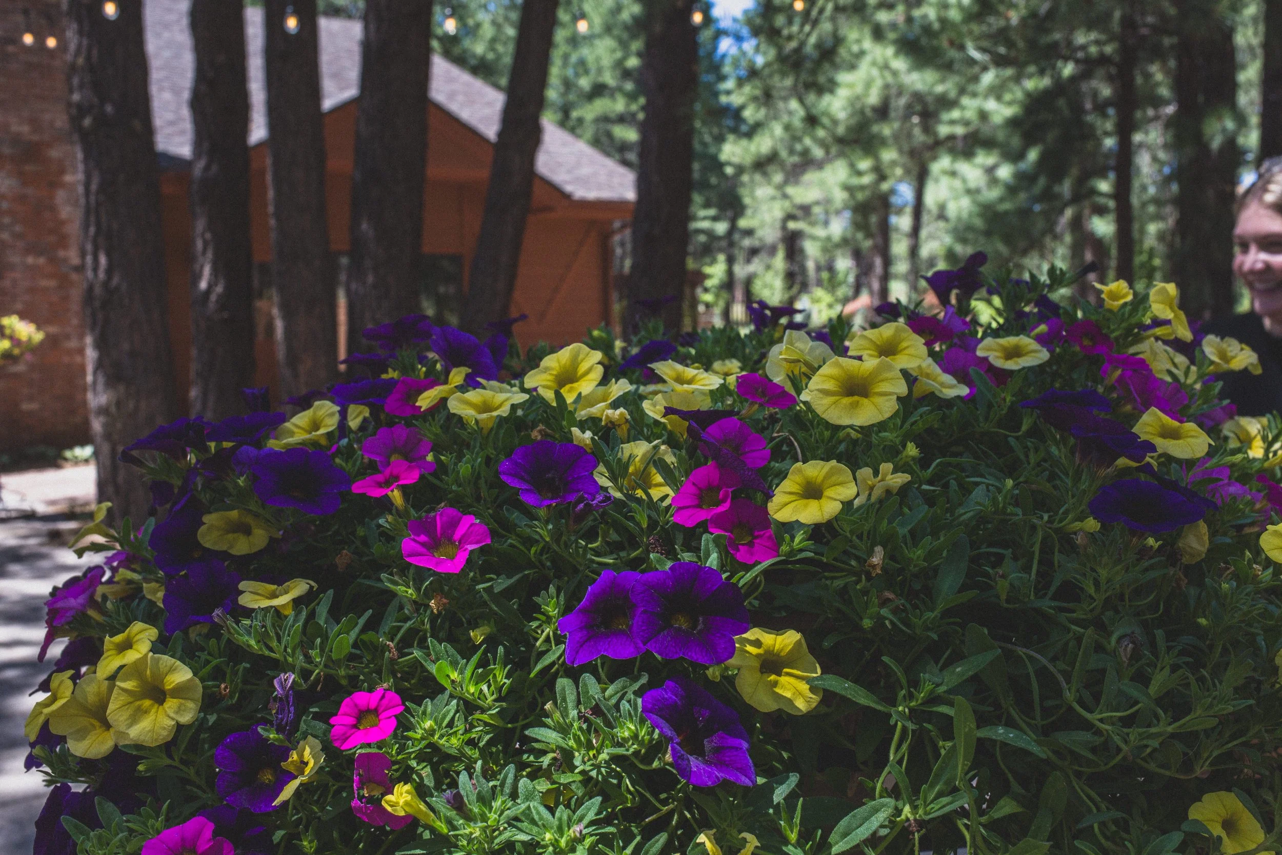 August Sam + Rachel Elopement EDITED 2024-9006.jpg