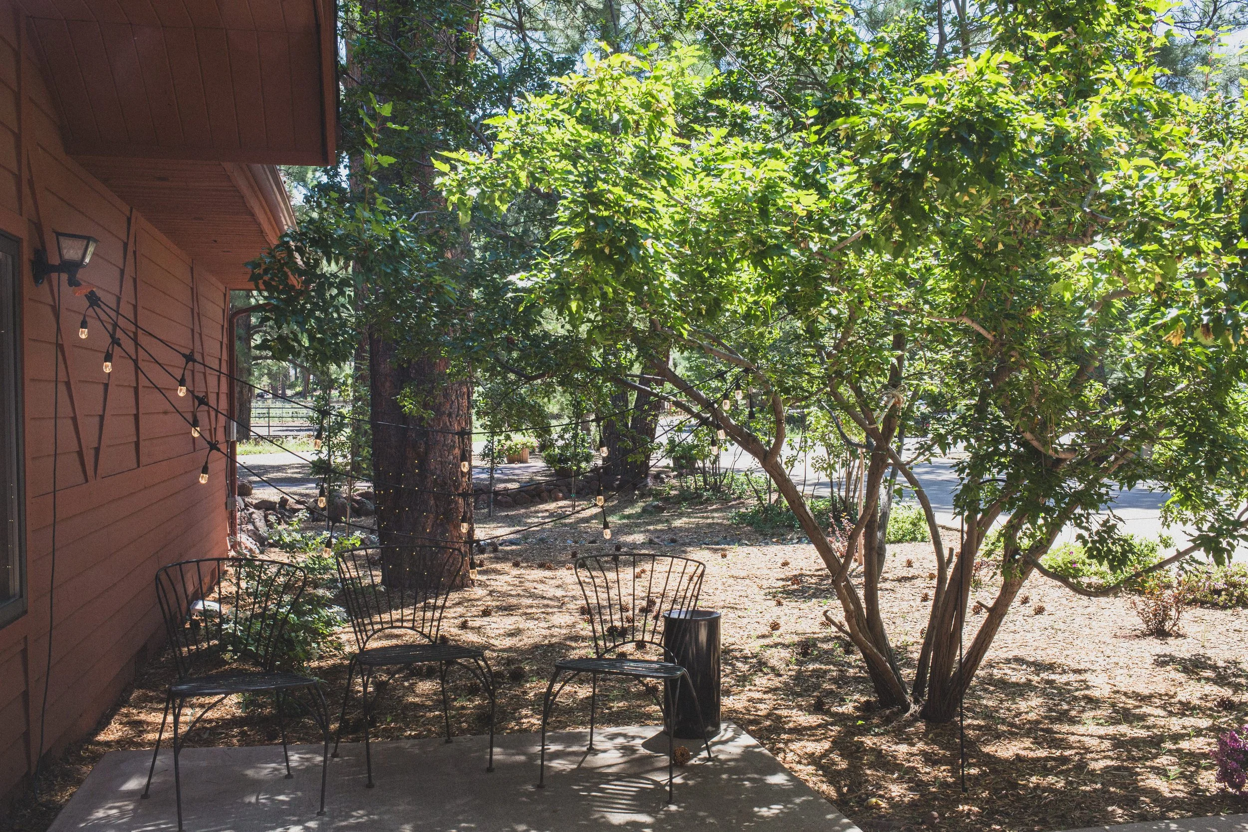 August Sam + Rachel Elopement EDITED 2024-9010.jpg