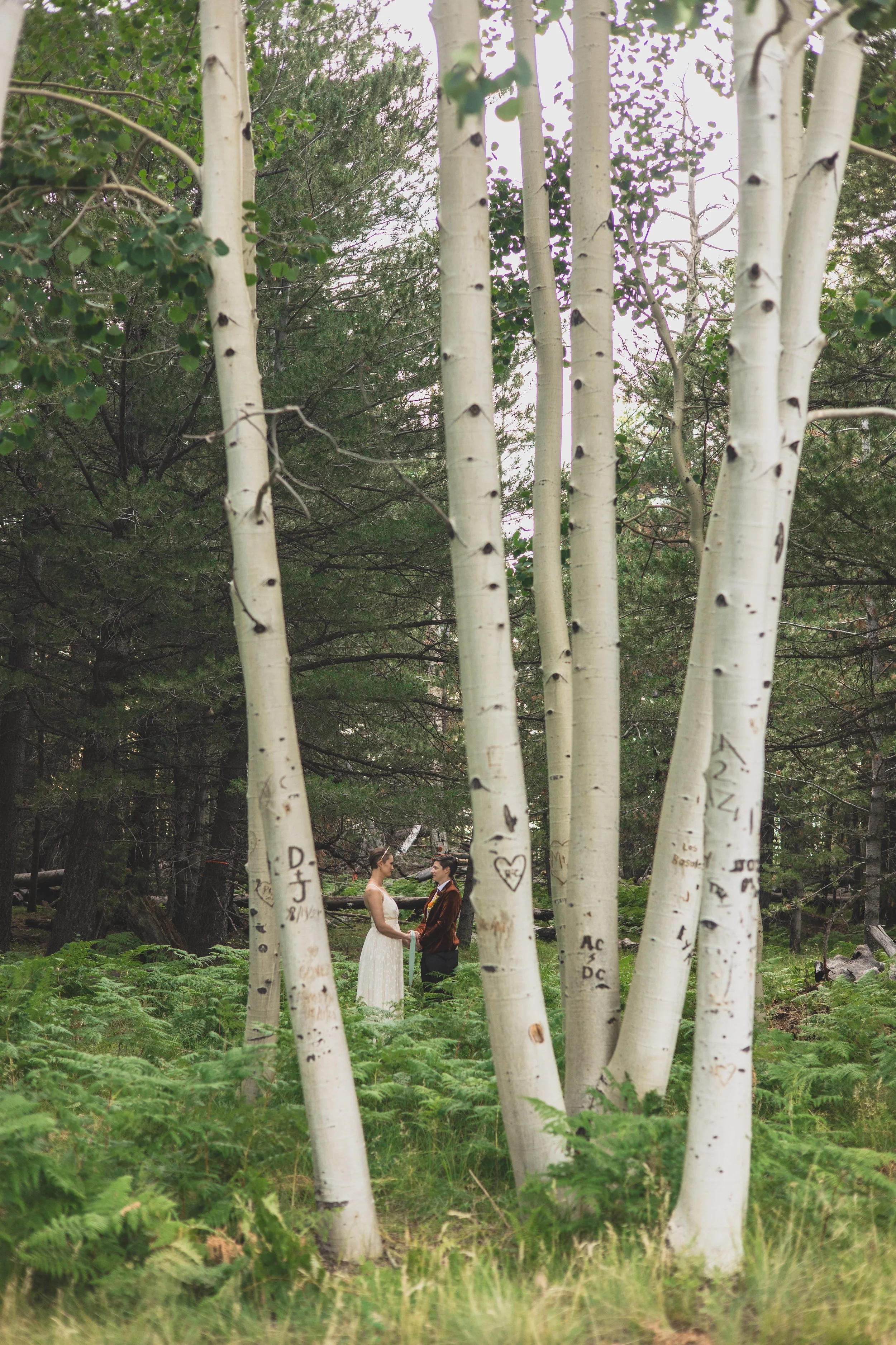 August Sam + Rachel Elopement EDITED 2024-9540.jpg