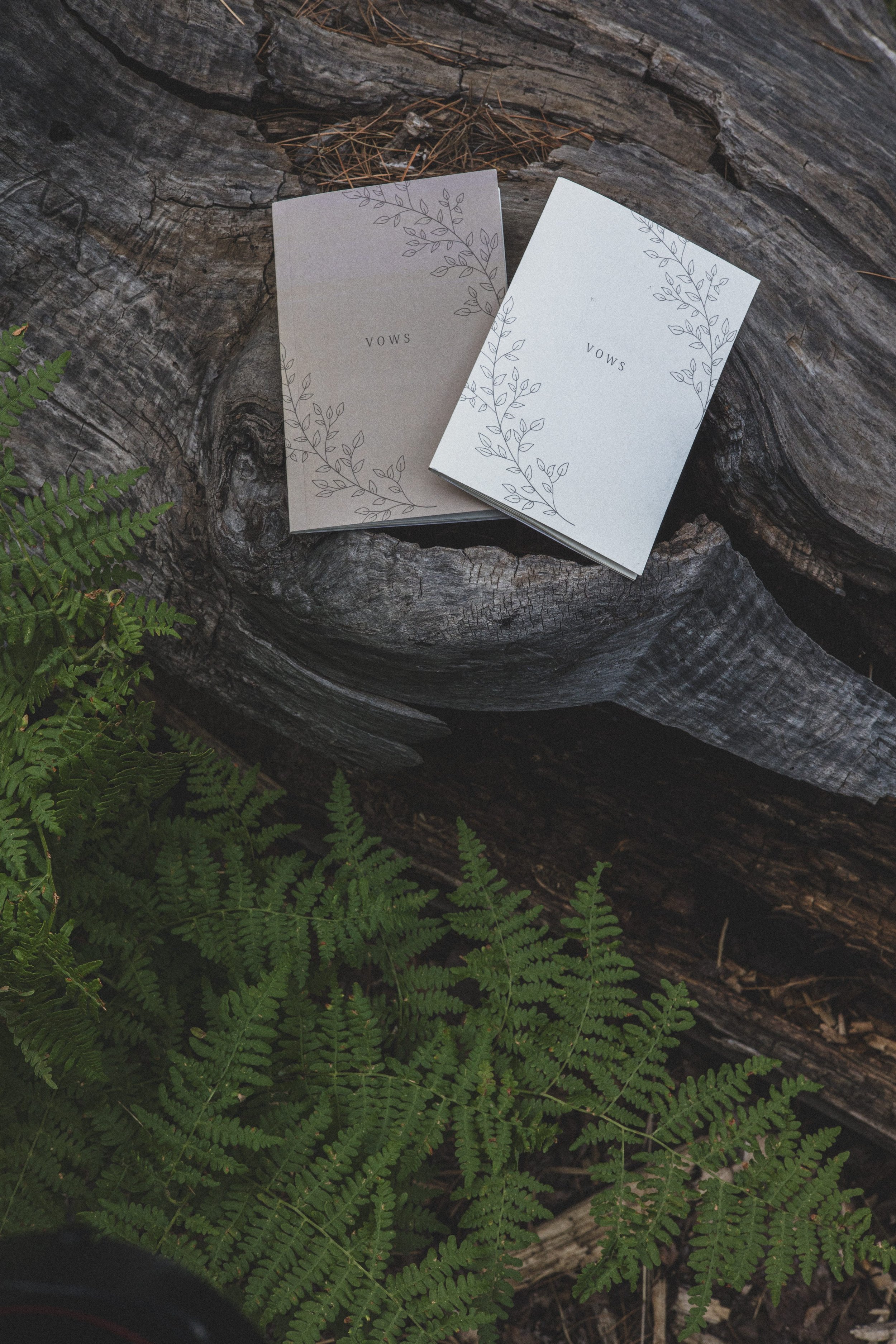 August Sam + Rachel Elopement EDITED 2024-9620.jpg