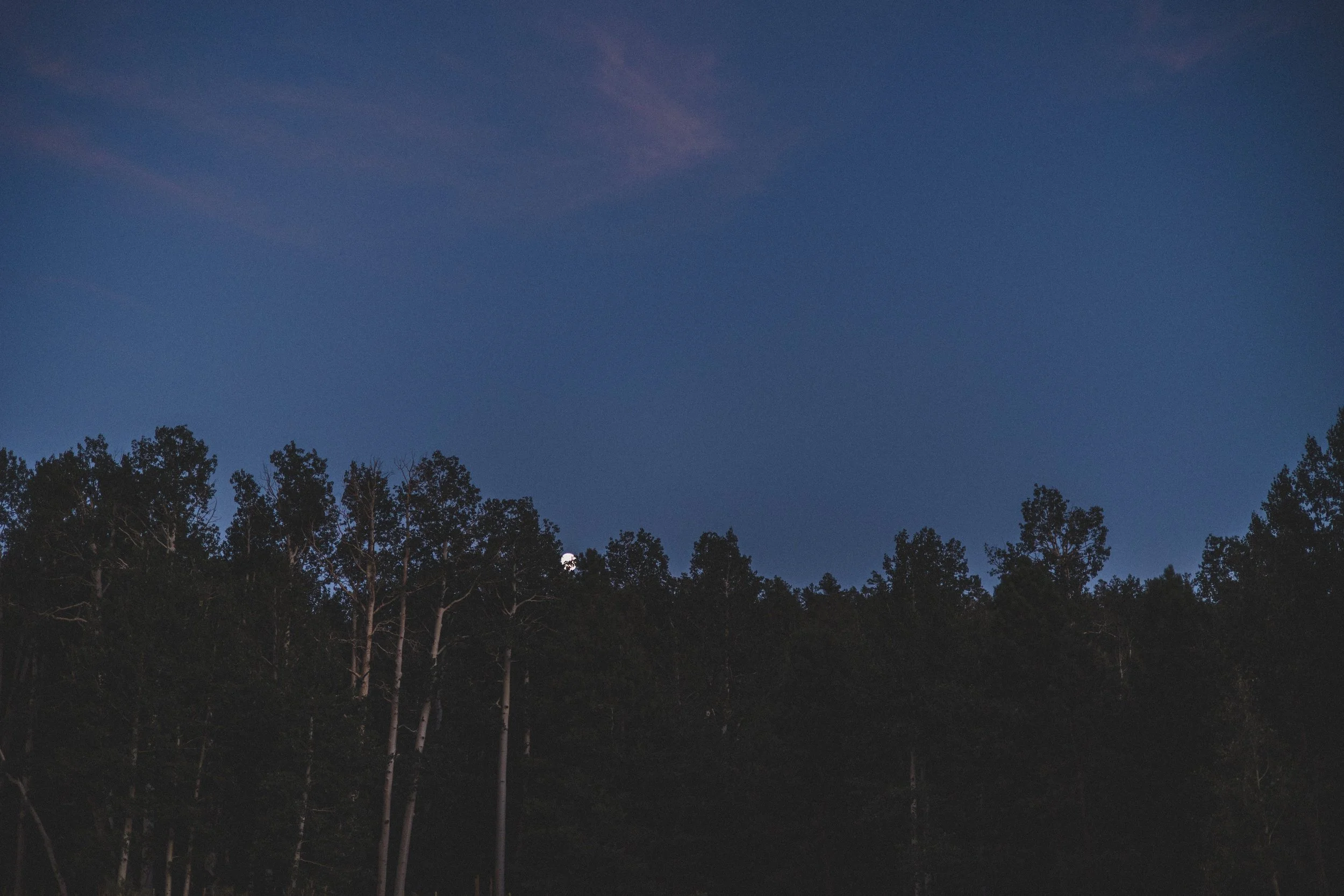 August Sam + Rachel Elopement EDITED 2024-9838.jpg