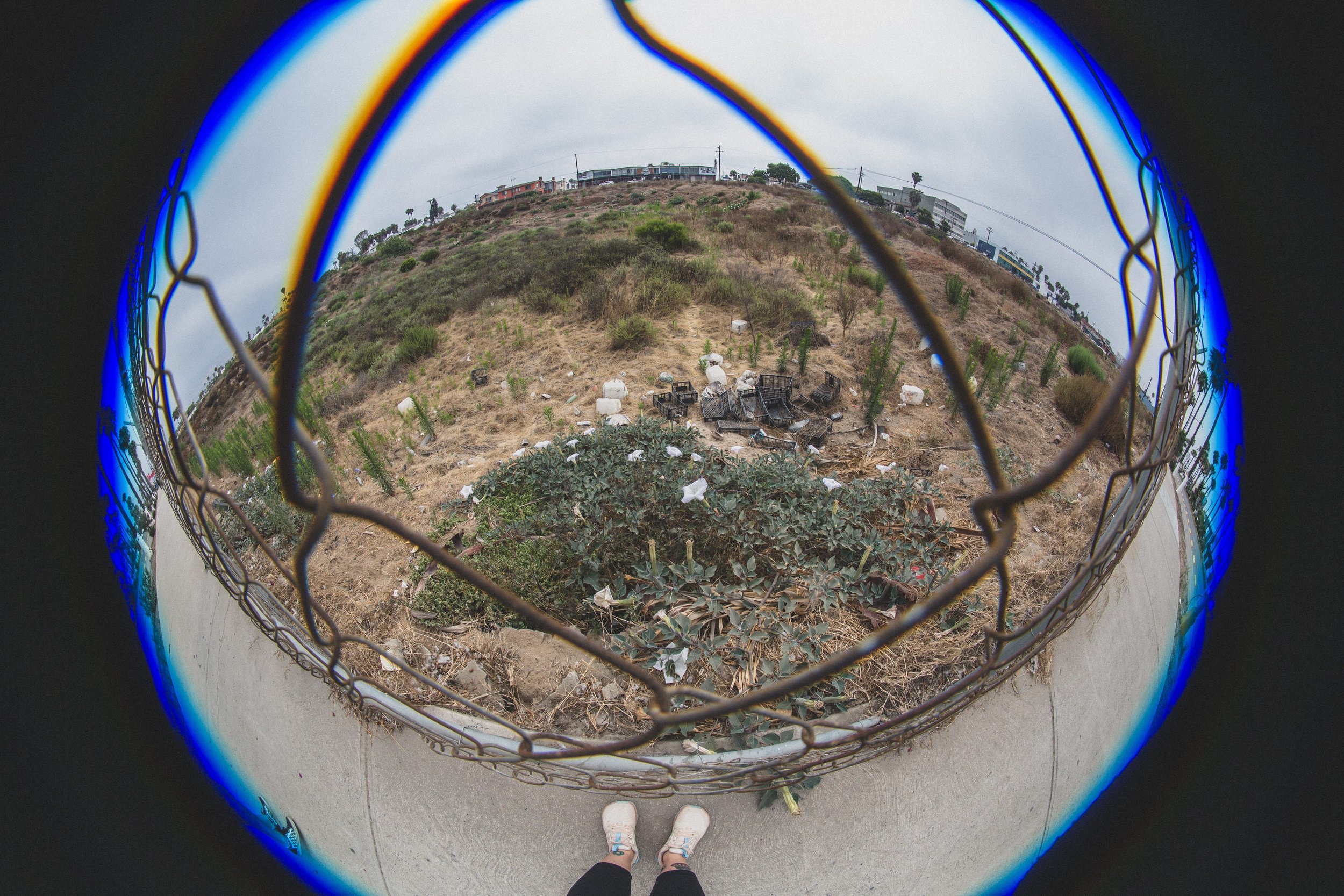 July Ensenada EDITED 2024-8592.jpg