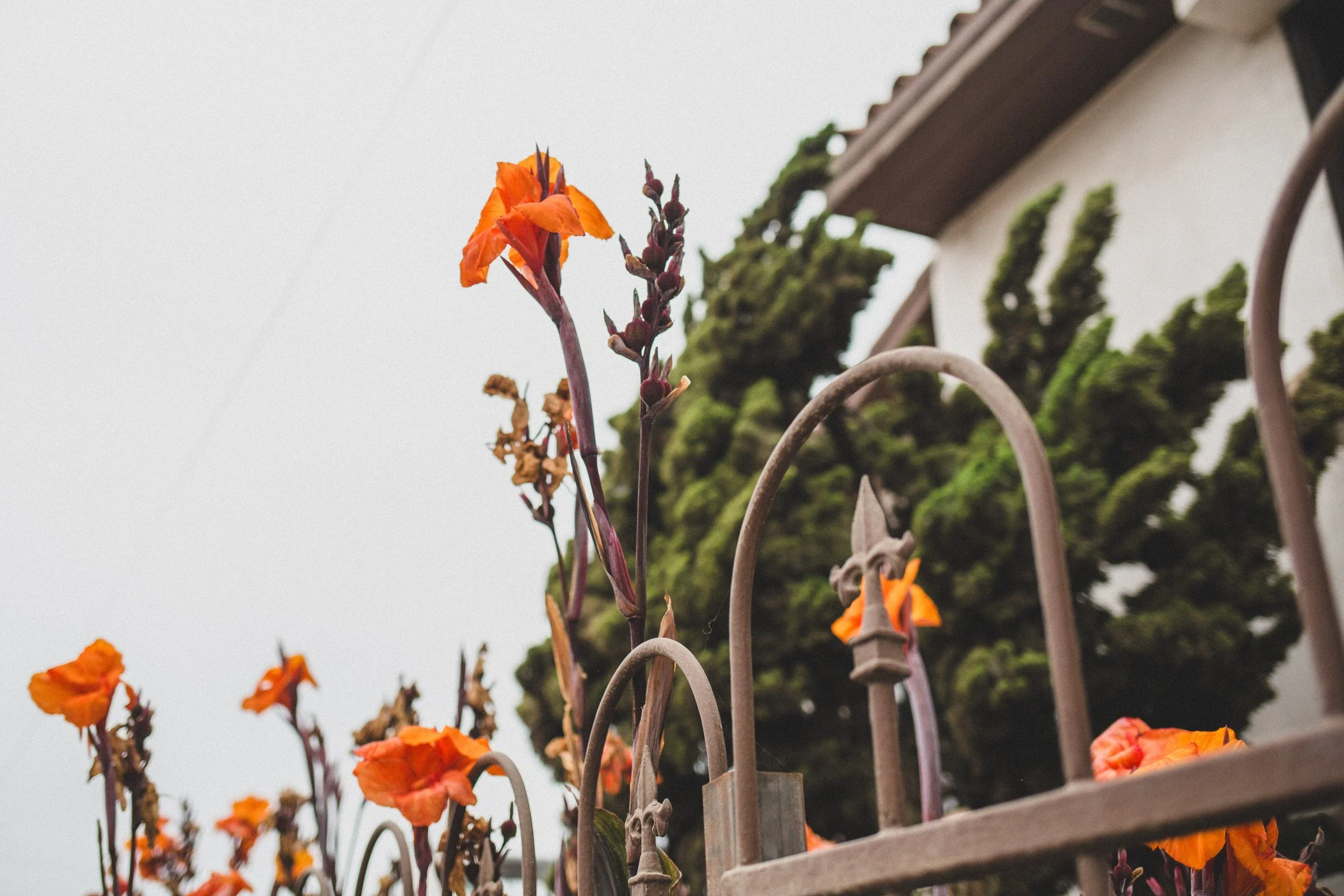 July Ensenada EDITED 2024-8616.jpg