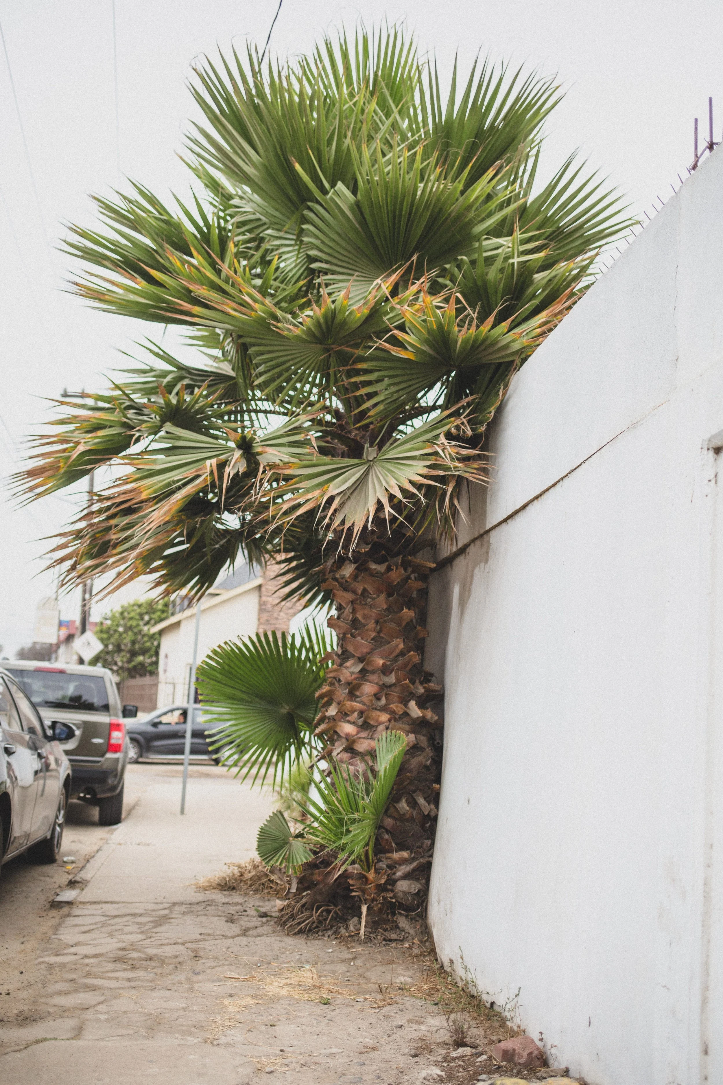 July Ensenada EDITED 2024-8617.jpg