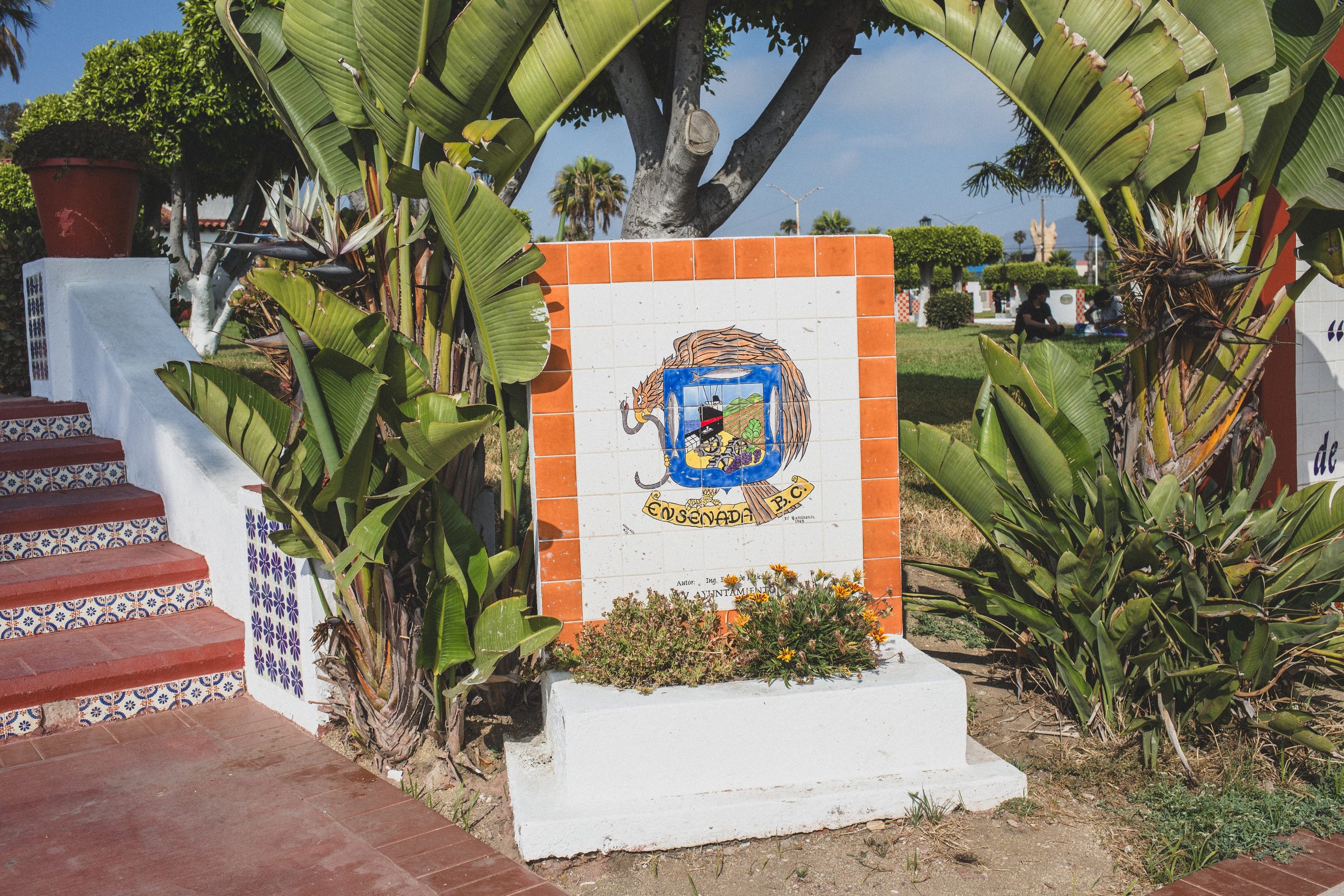 July Ensenada EDITED 2024-8638.jpg