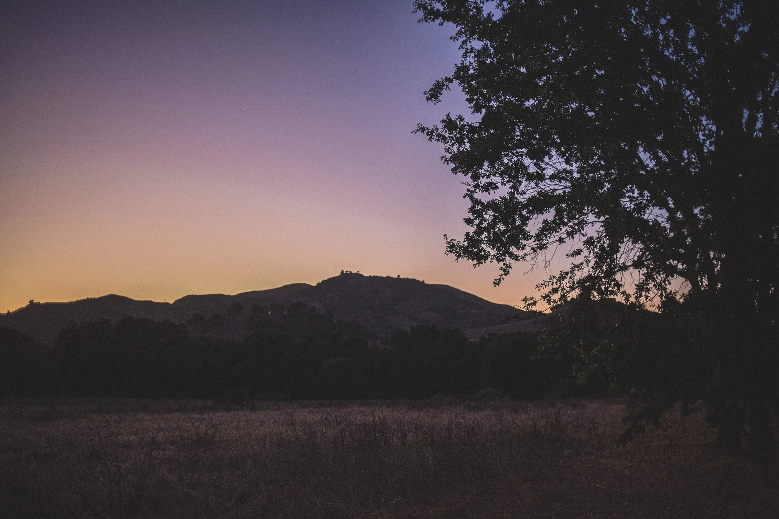 Roadtrip July EDITED 2024-8828.jpg