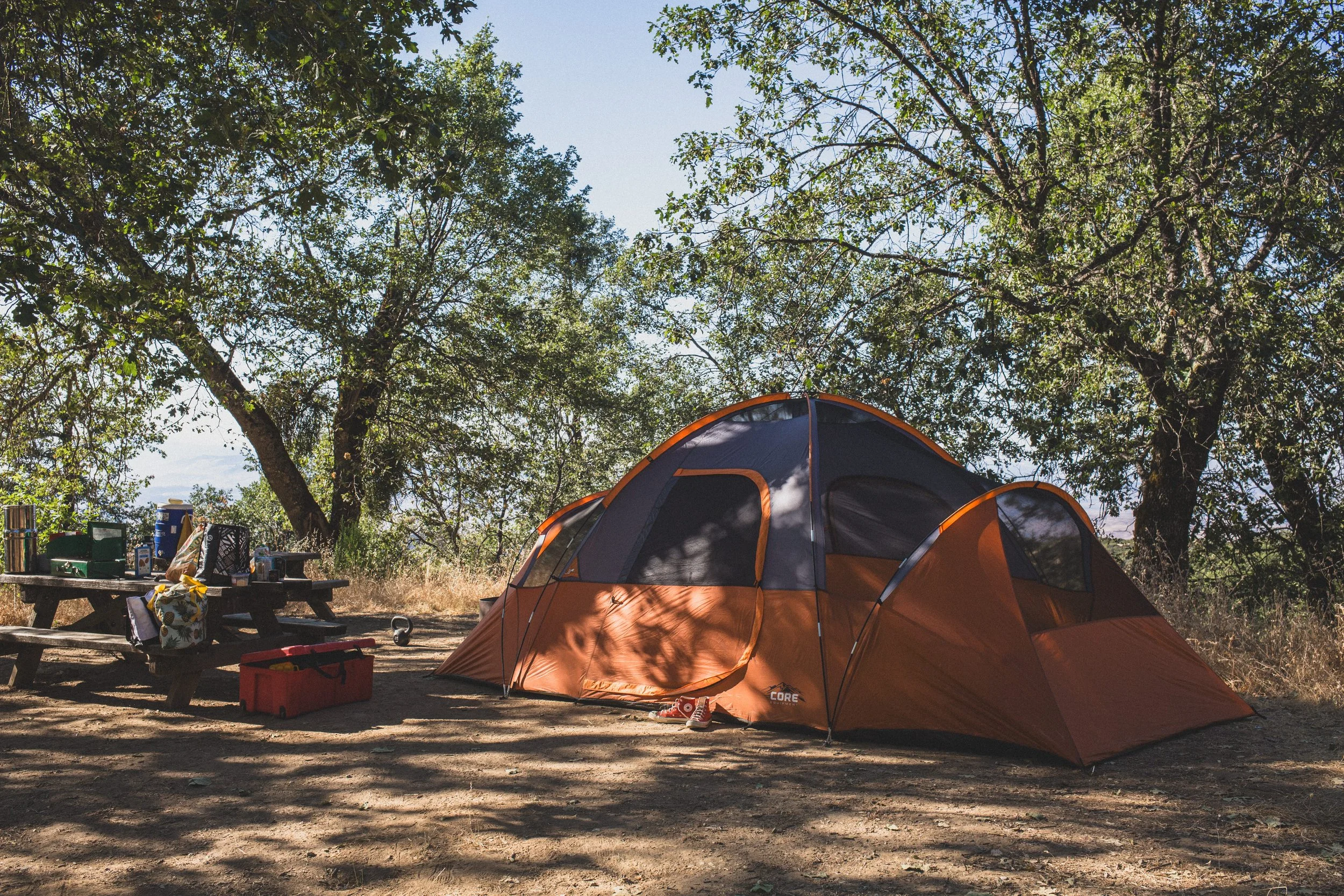 Roadtrip July EDITED 2024-8835.jpg