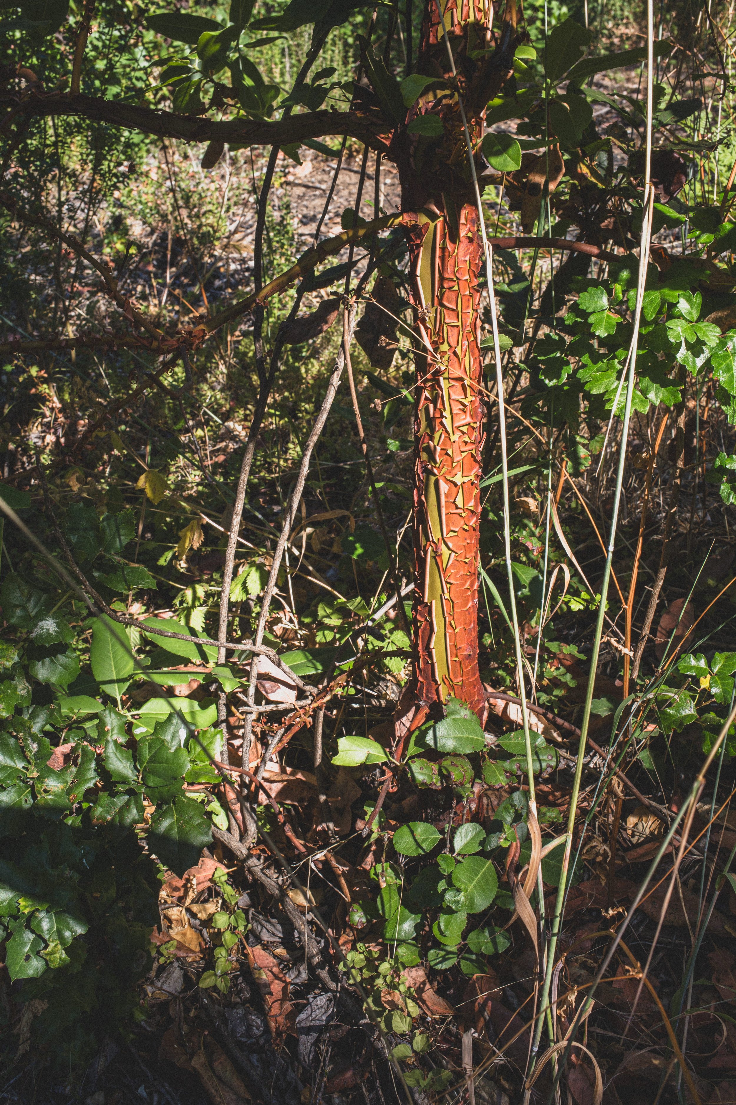 Roadtrip July EDITED 2024-8840.jpg