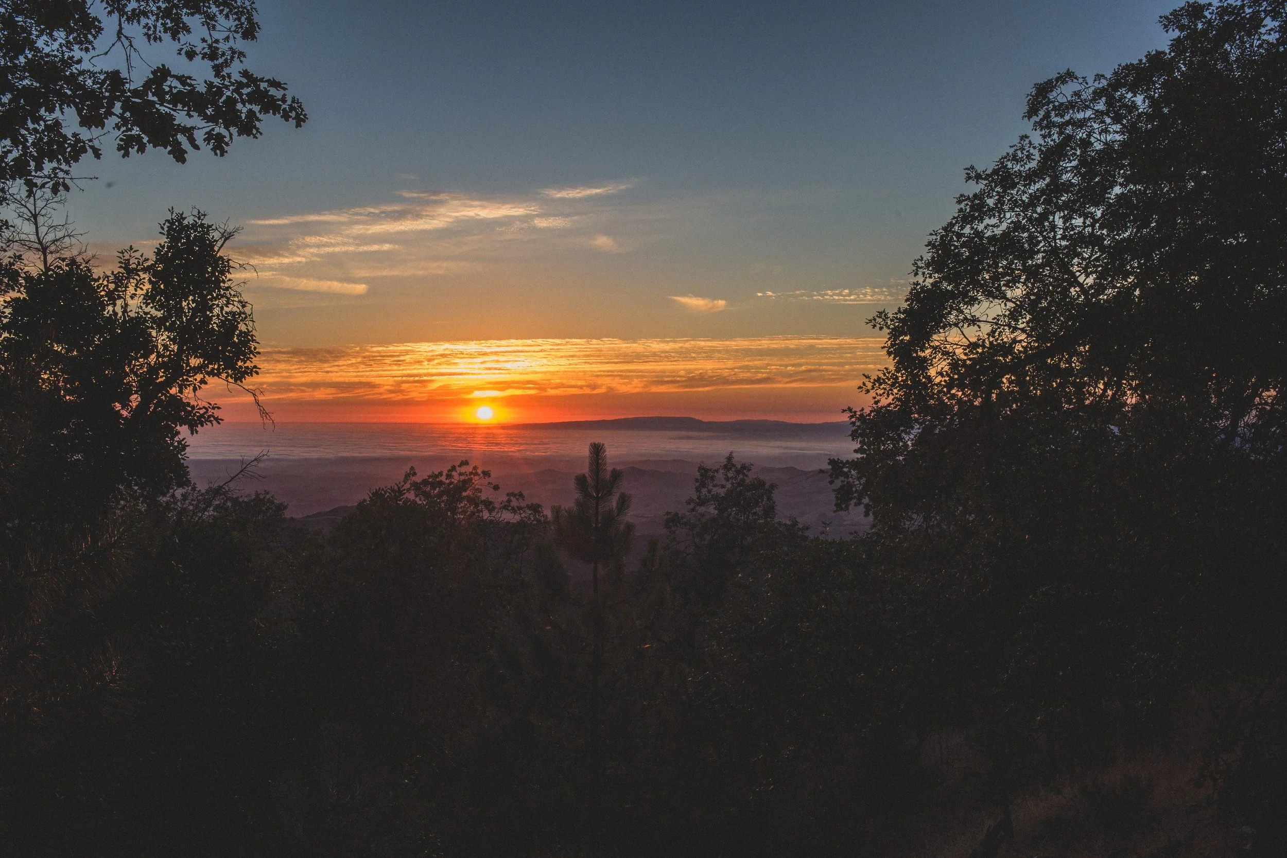 Roadtrip July EDITED 2024-8855.jpg