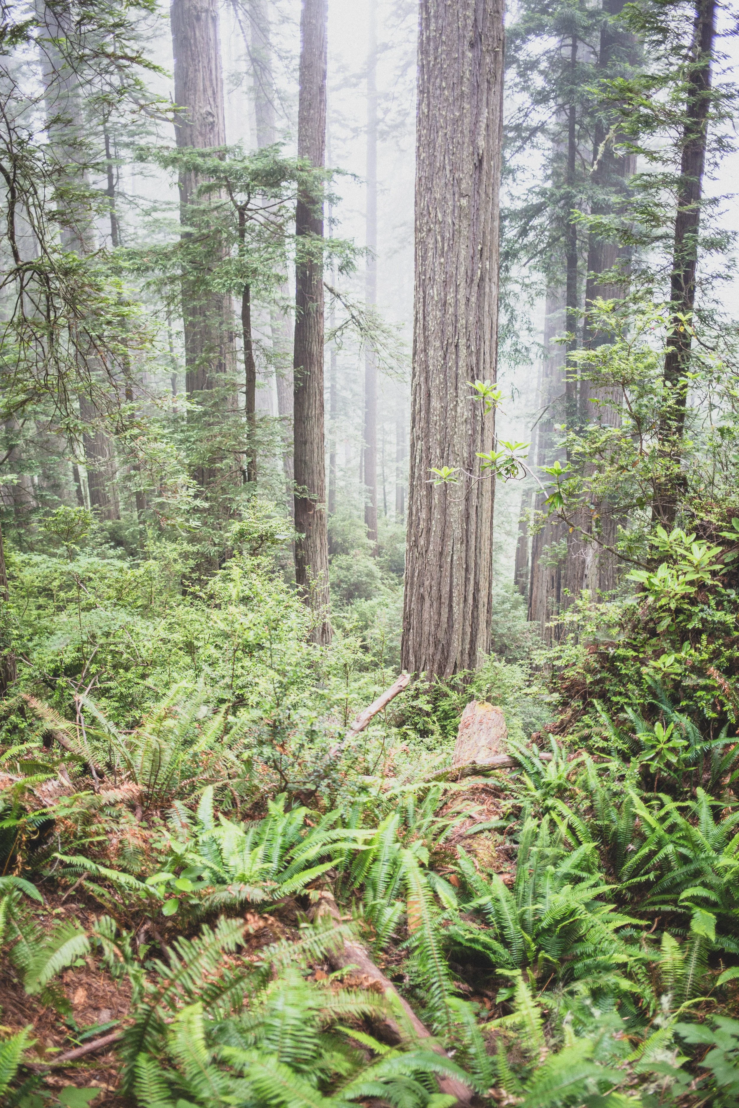 Roadtrip July EDITED 2024-8894.jpg