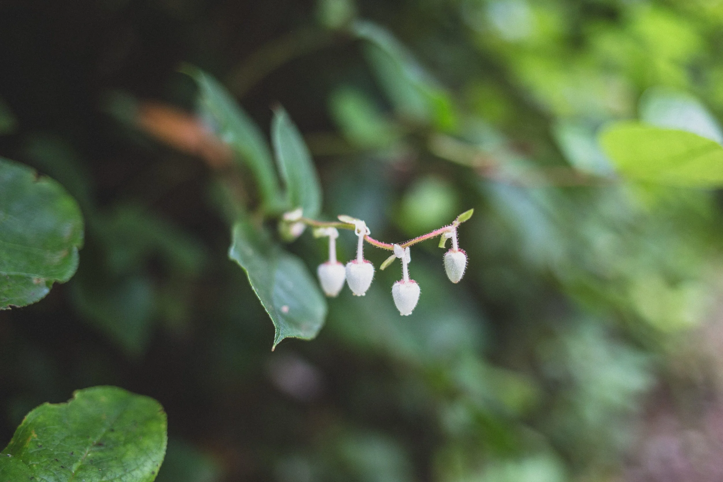 Roadtrip July EDITED 2024-8898.jpg