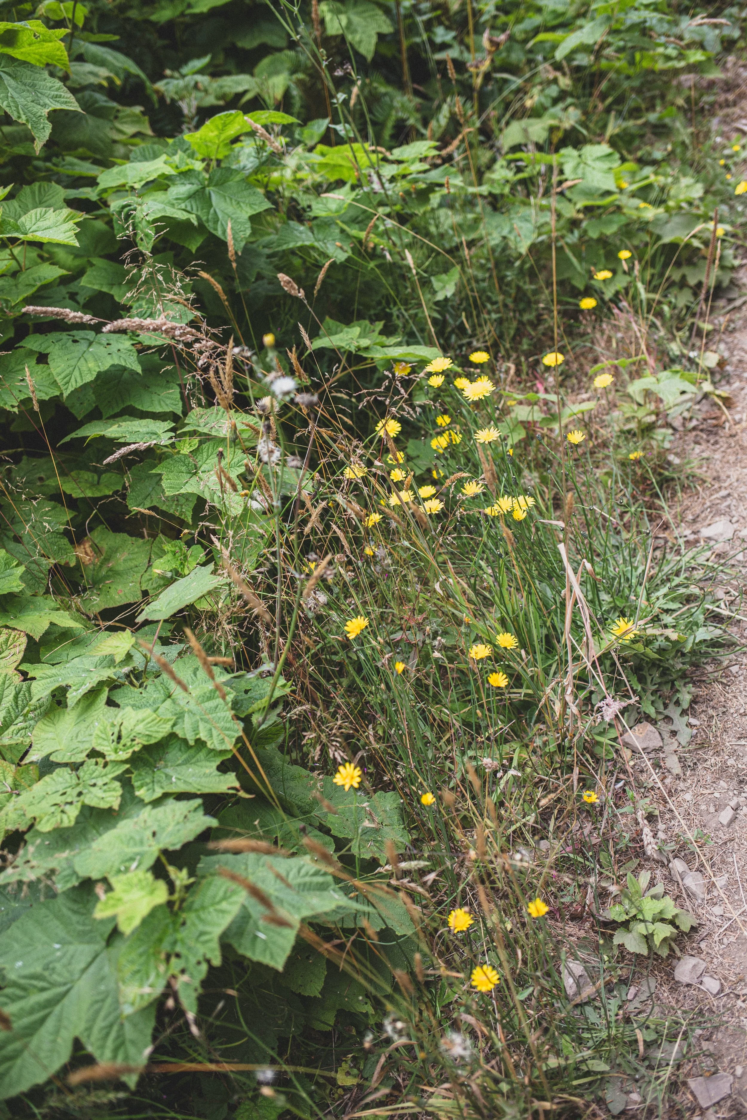 Roadtrip July EDITED 2024-8900.jpg