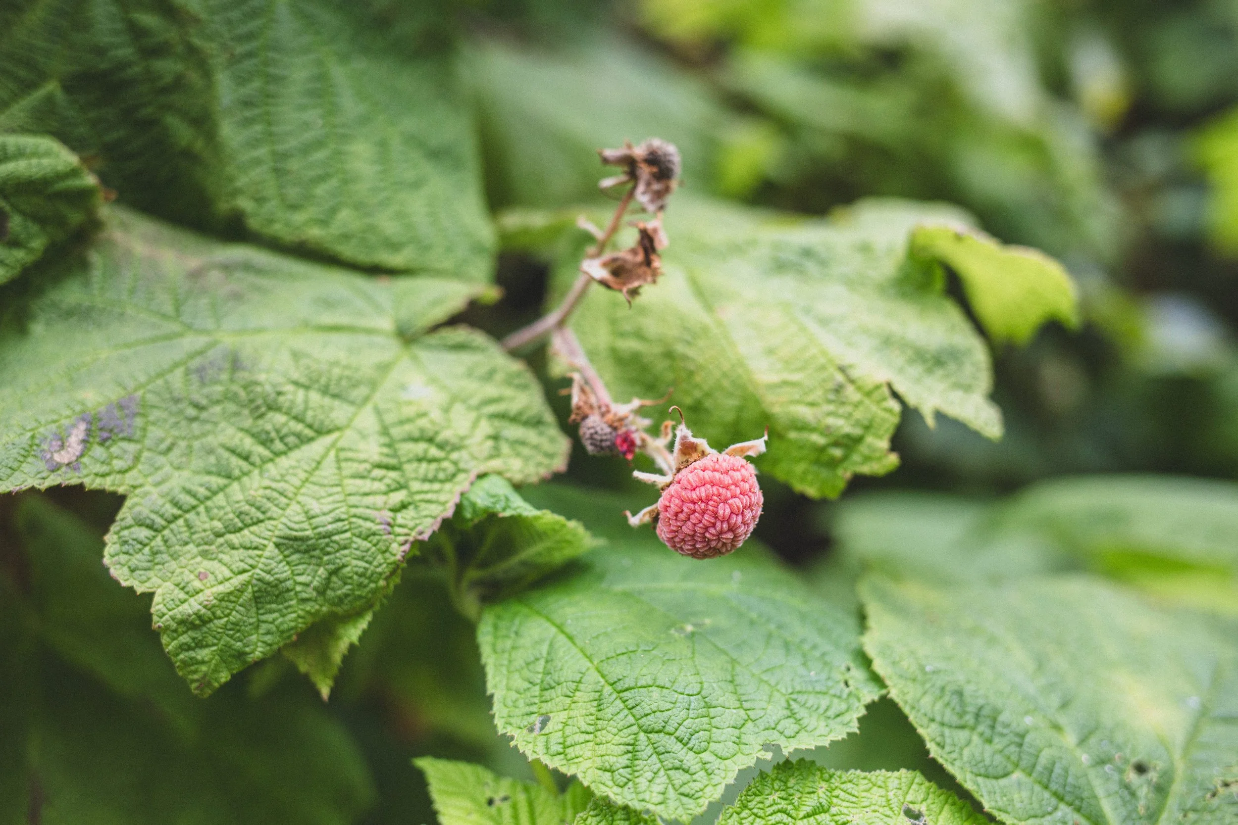 Roadtrip July EDITED 2024-8901.jpg