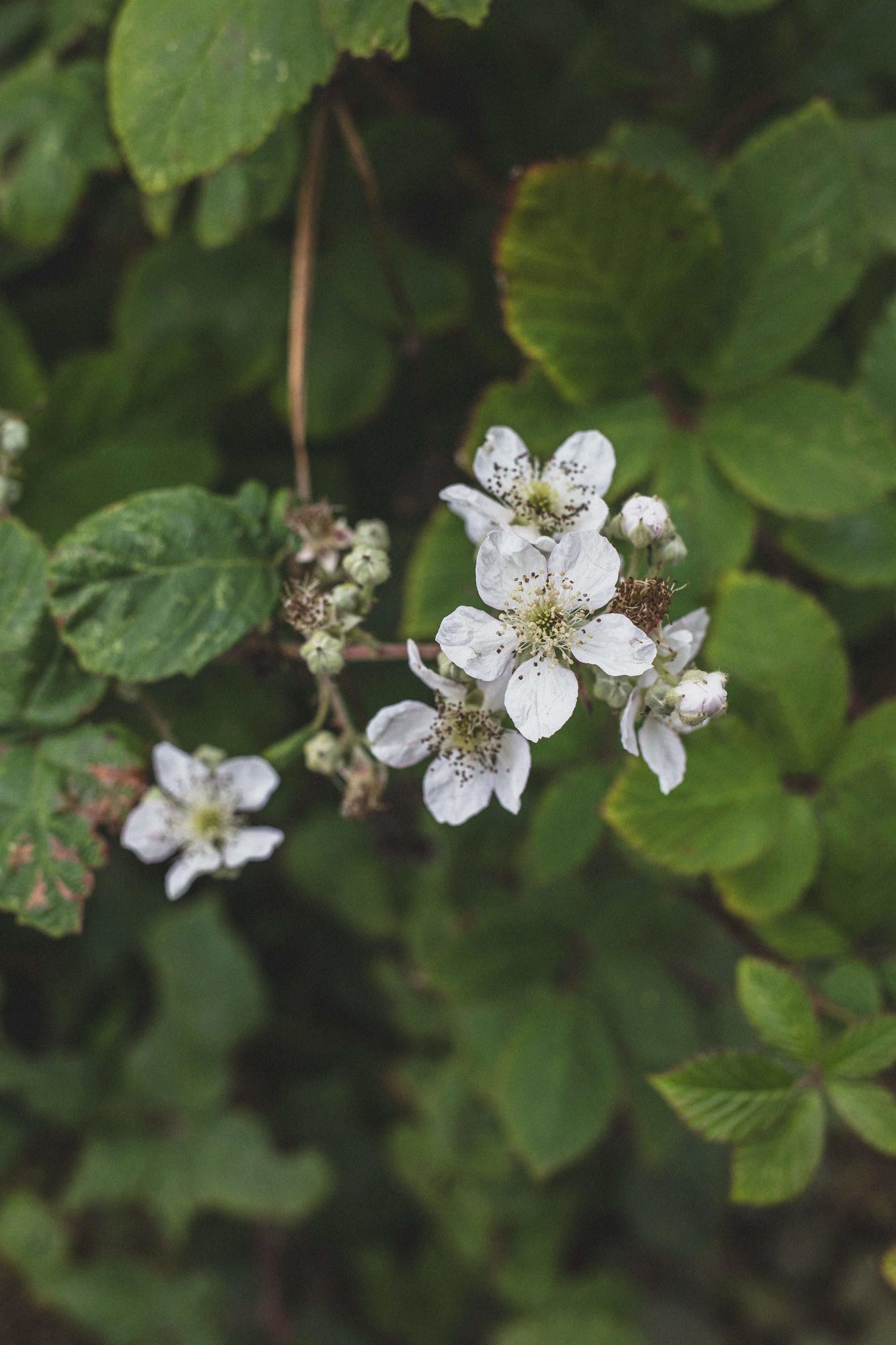 Roadtrip July EDITED 2024-8905.jpg